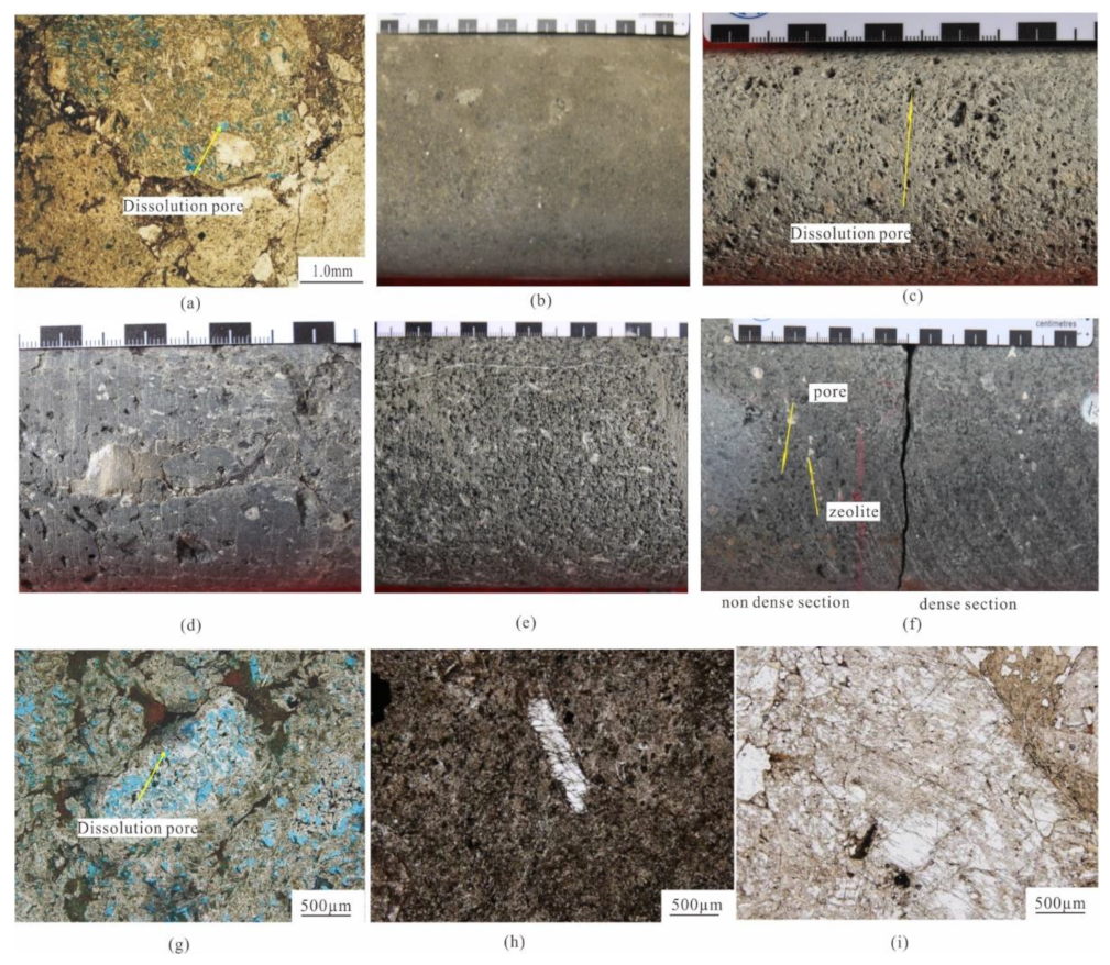 Processes 11 02427 g010