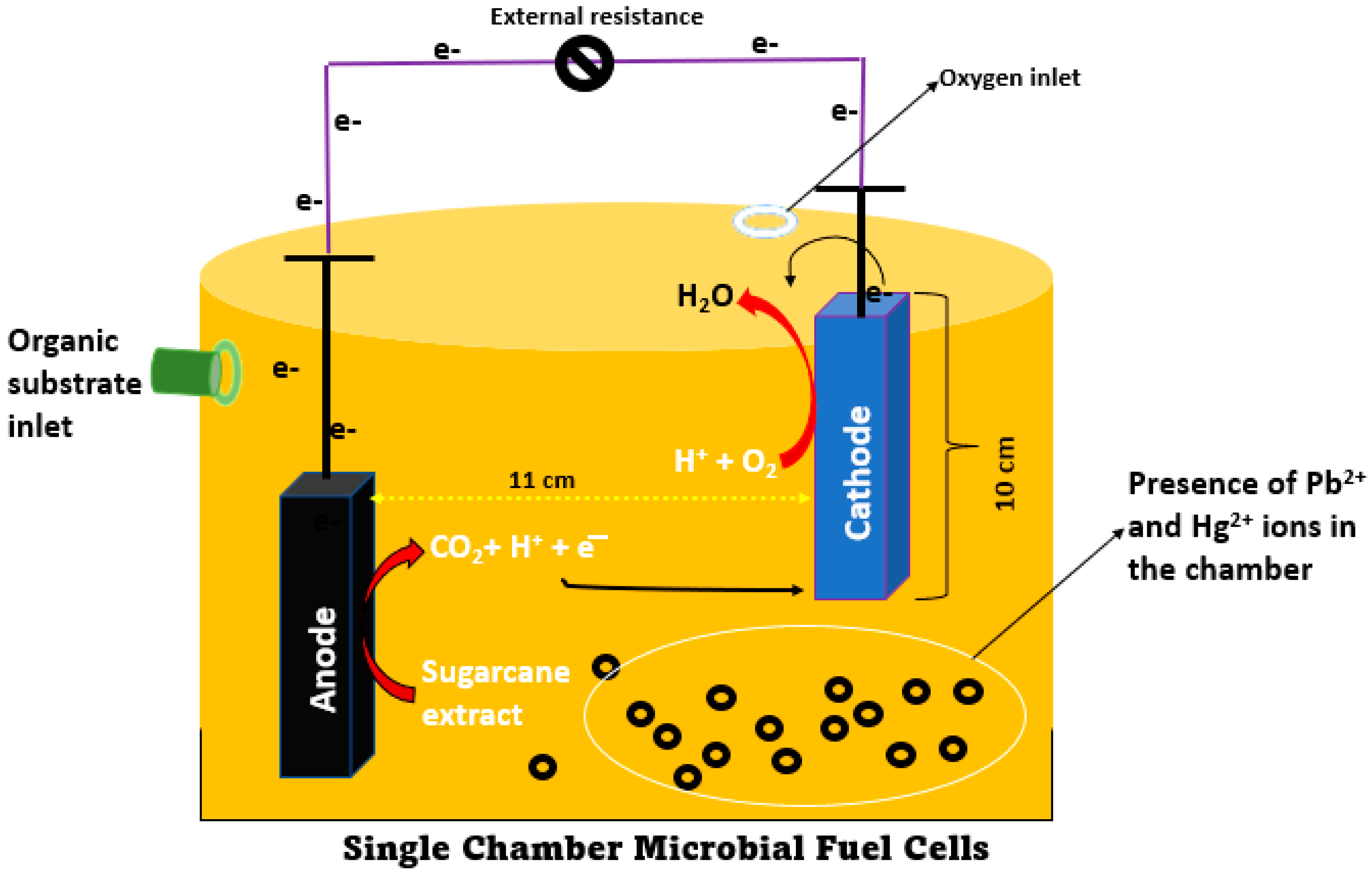 Processes 11 02434 g001 Processes 11 02434 g001