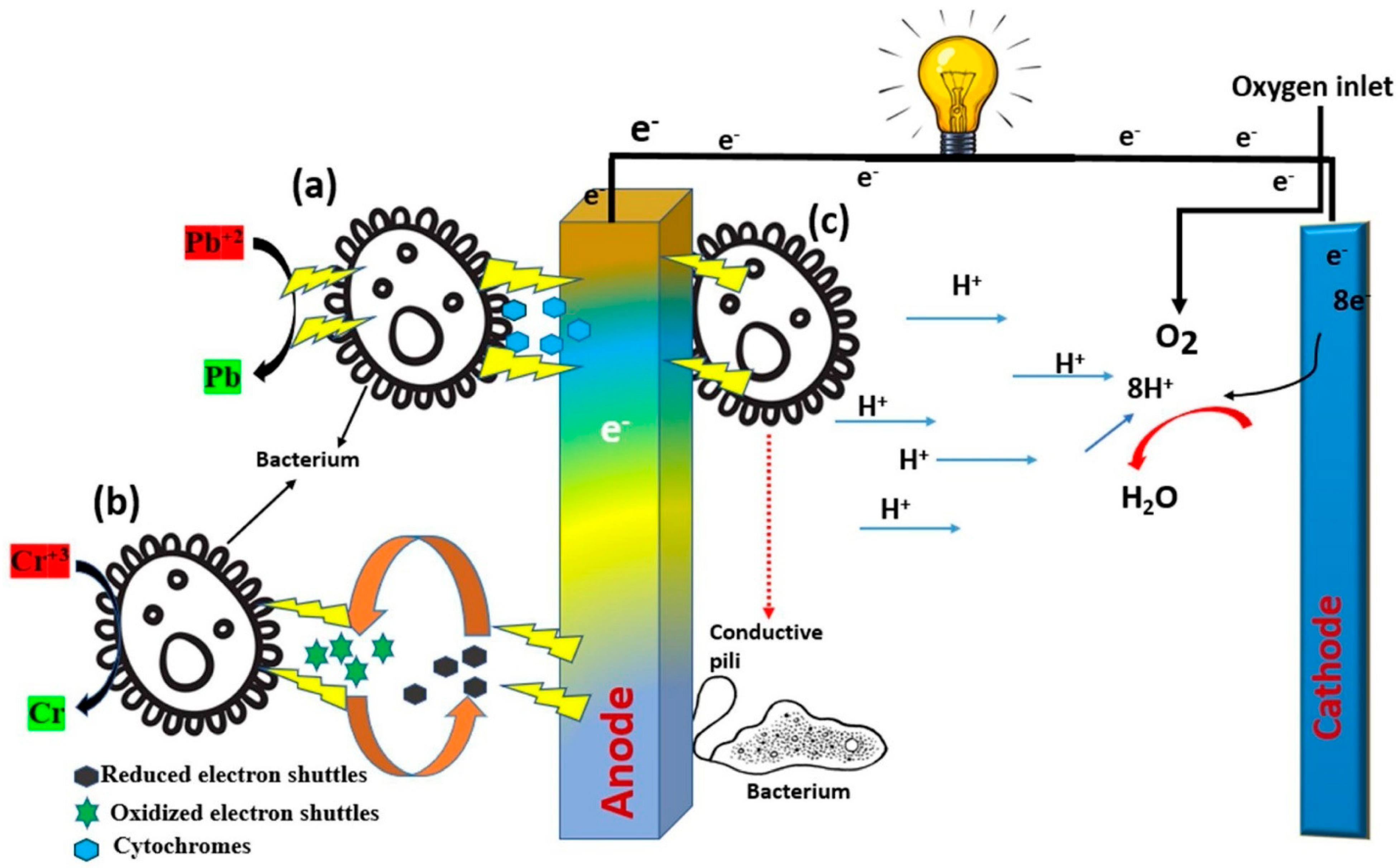 Processes 11 02434 g009 Processes 11 02434 g009