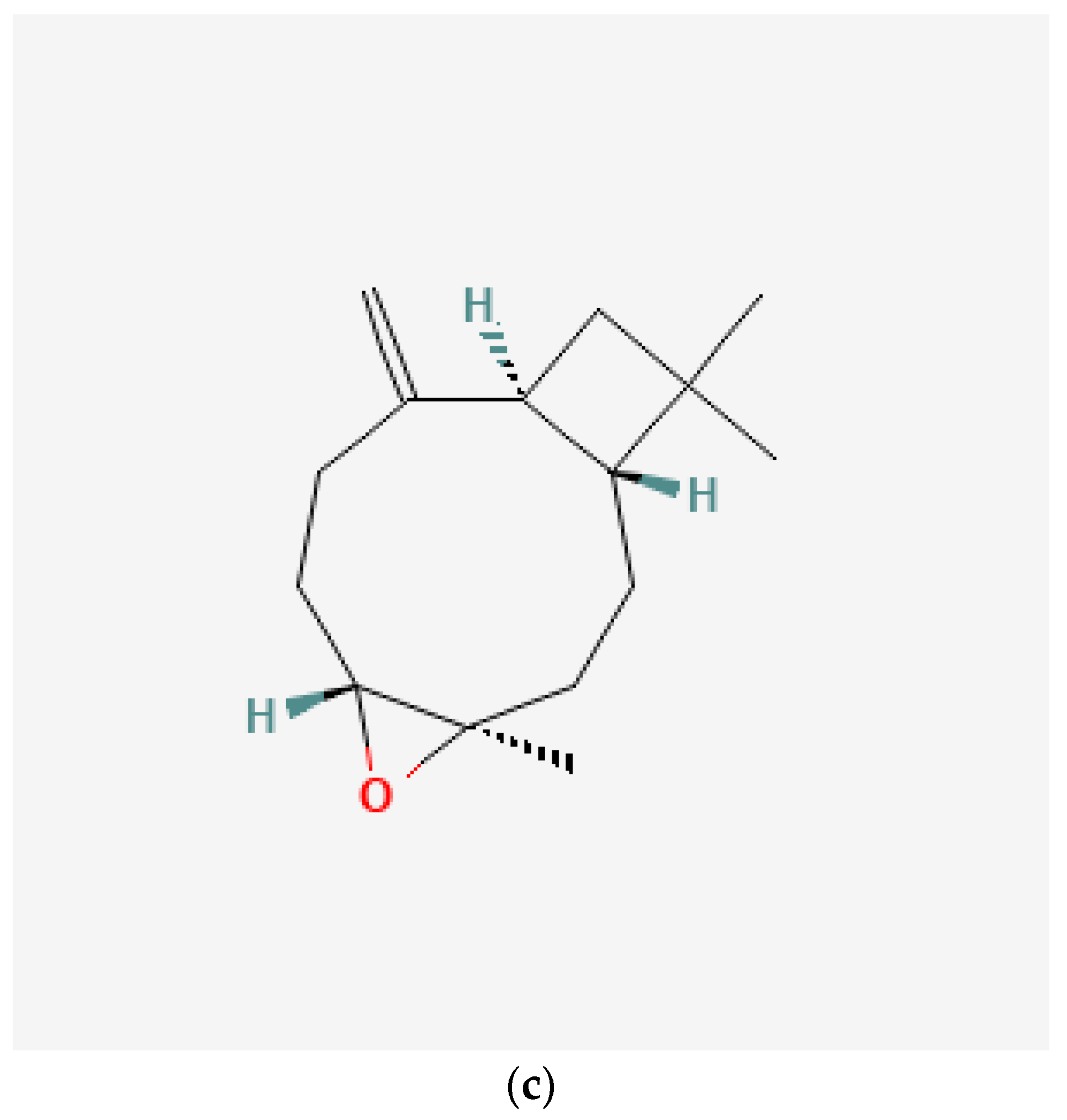 Processes 11 02453 g001b Processes 11 02453 g001b