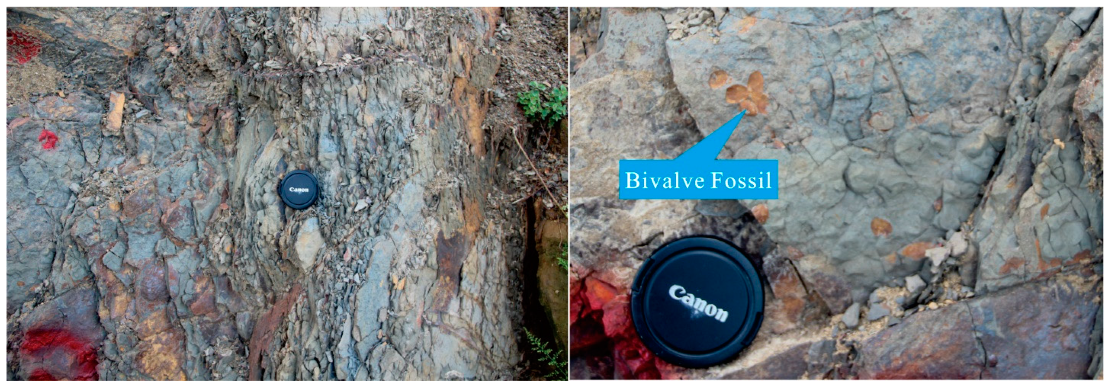 Processes 11 02463 g005