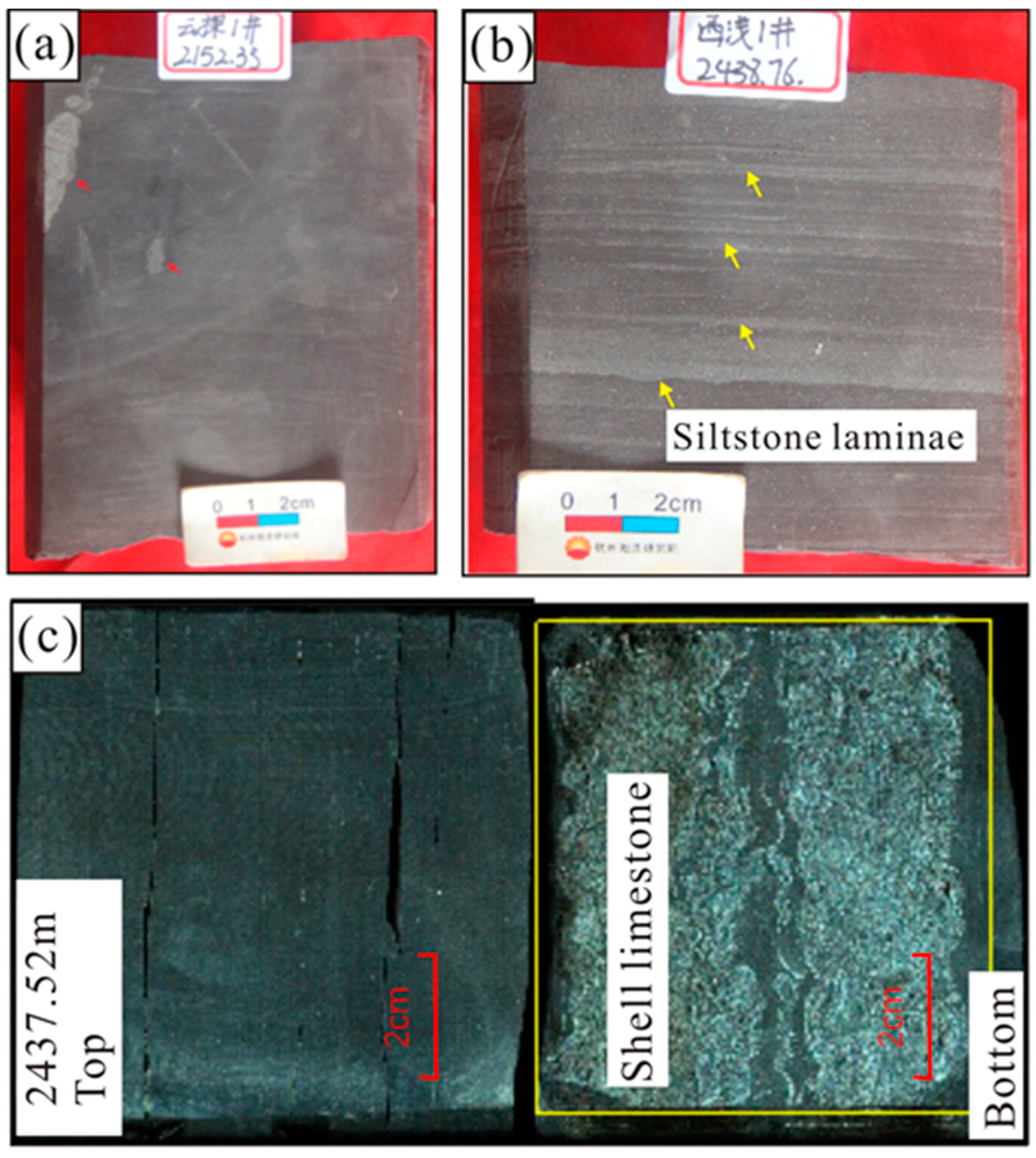Processes 11 02463 g008