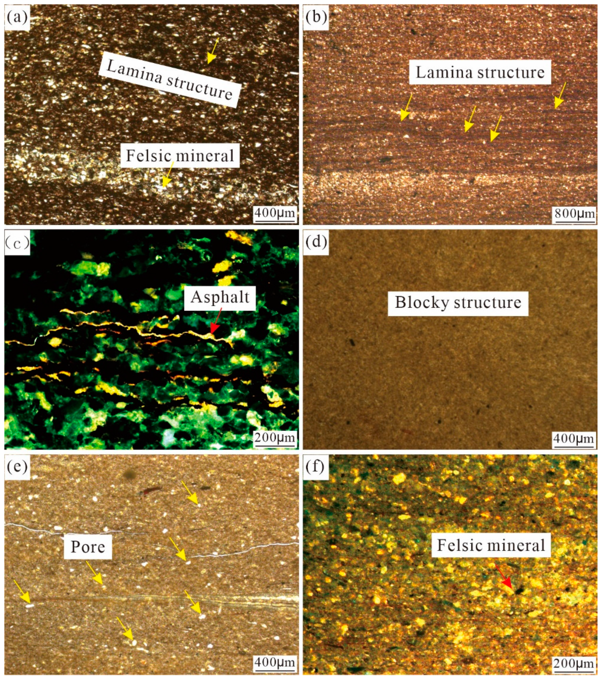 Processes 11 02463 g009