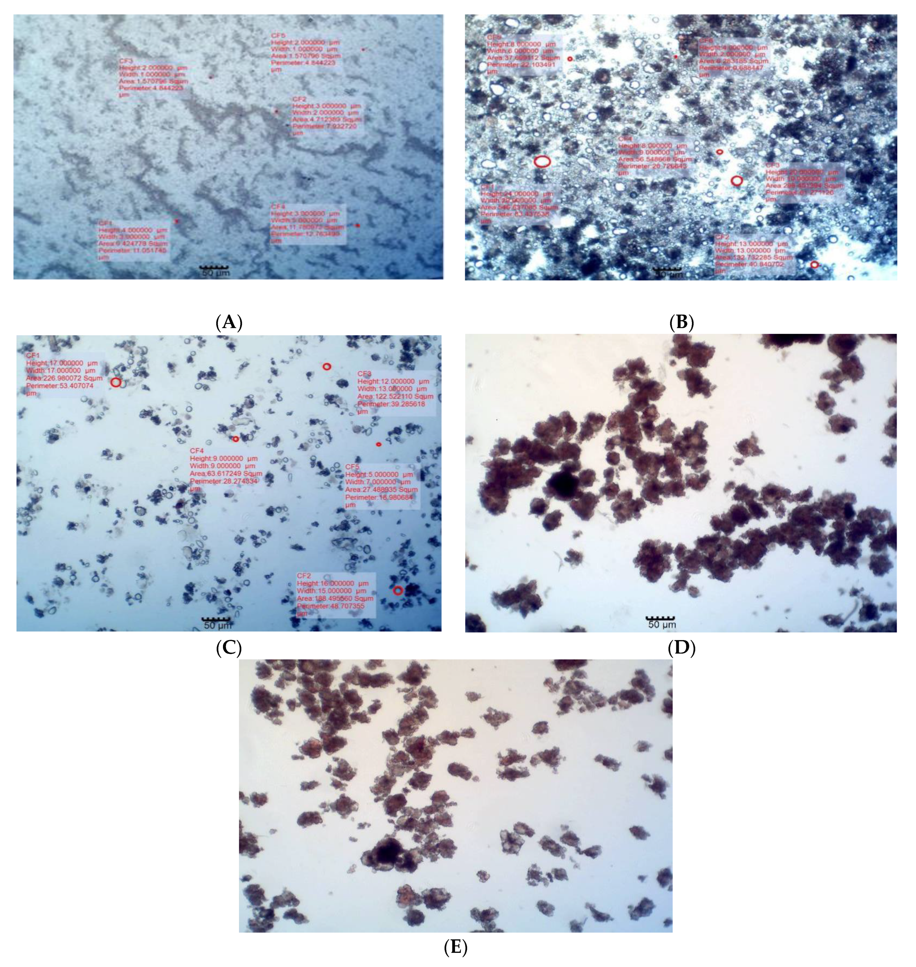 Processes 11 02557 g001