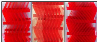 Processes 11 02578 i016