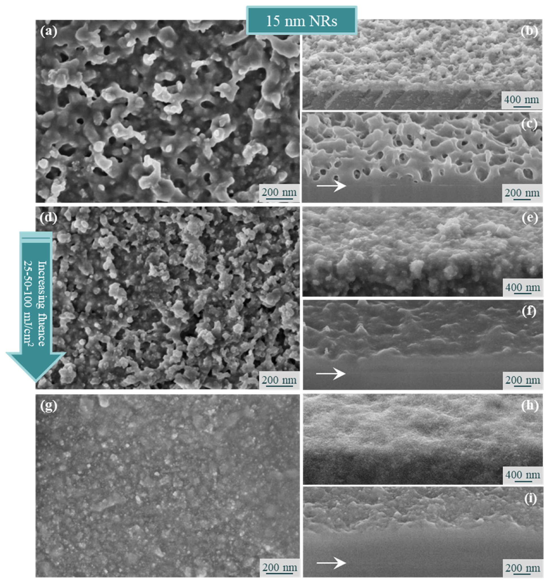 Processes 11 02591 g003