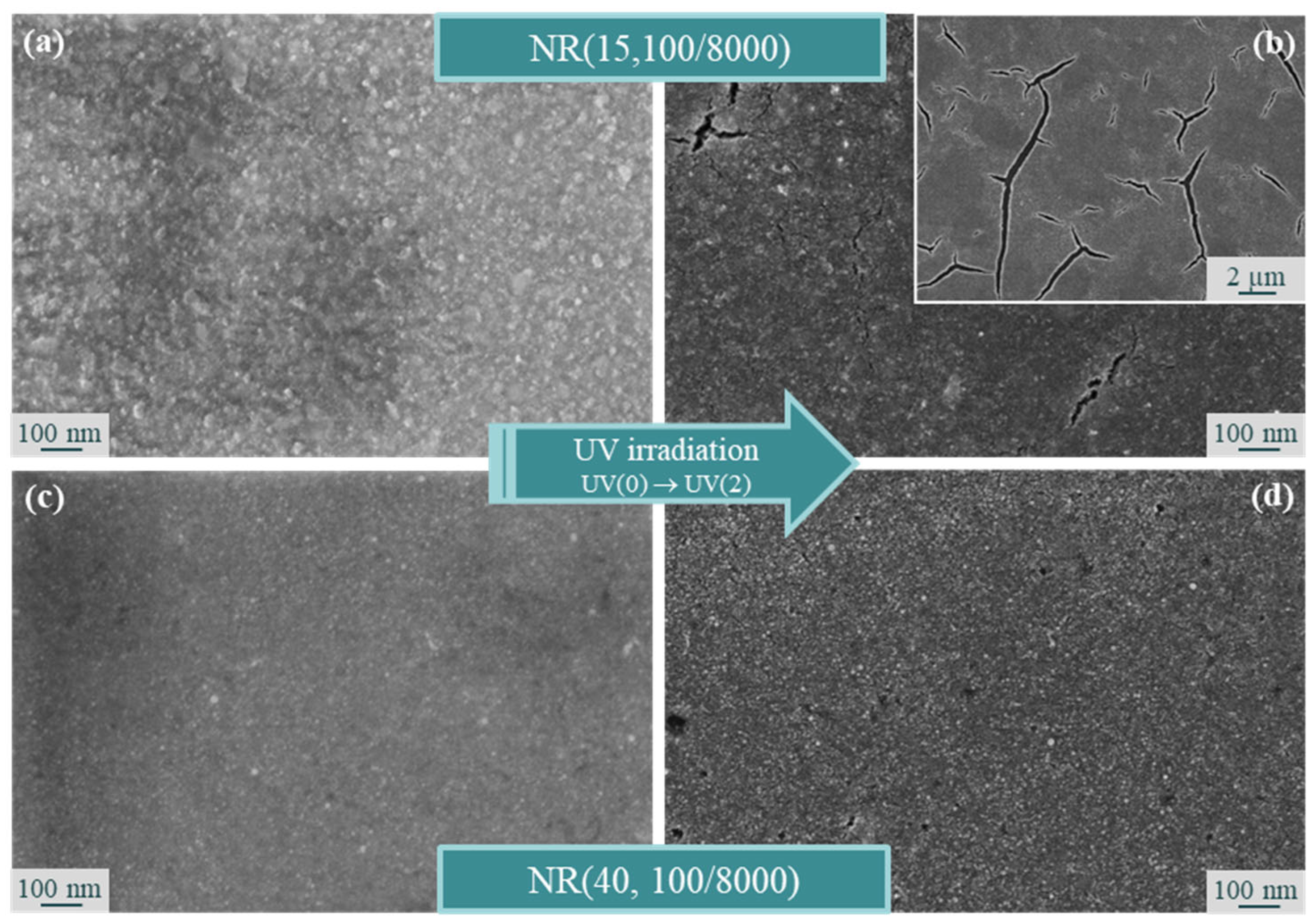 Processes 11 02591 g009