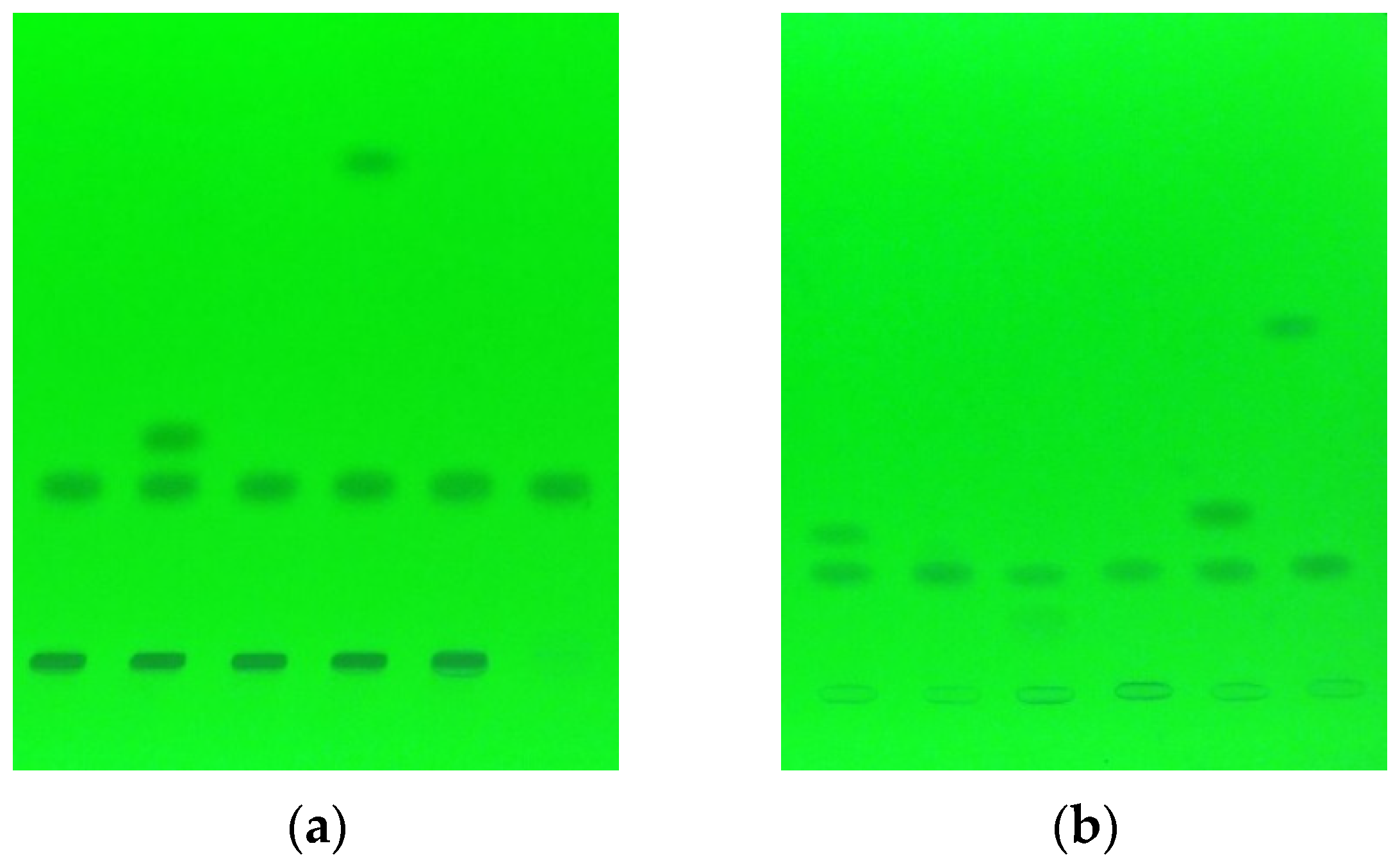 Processes 11 02605 g001
