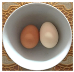 Processes 11 02648 i001