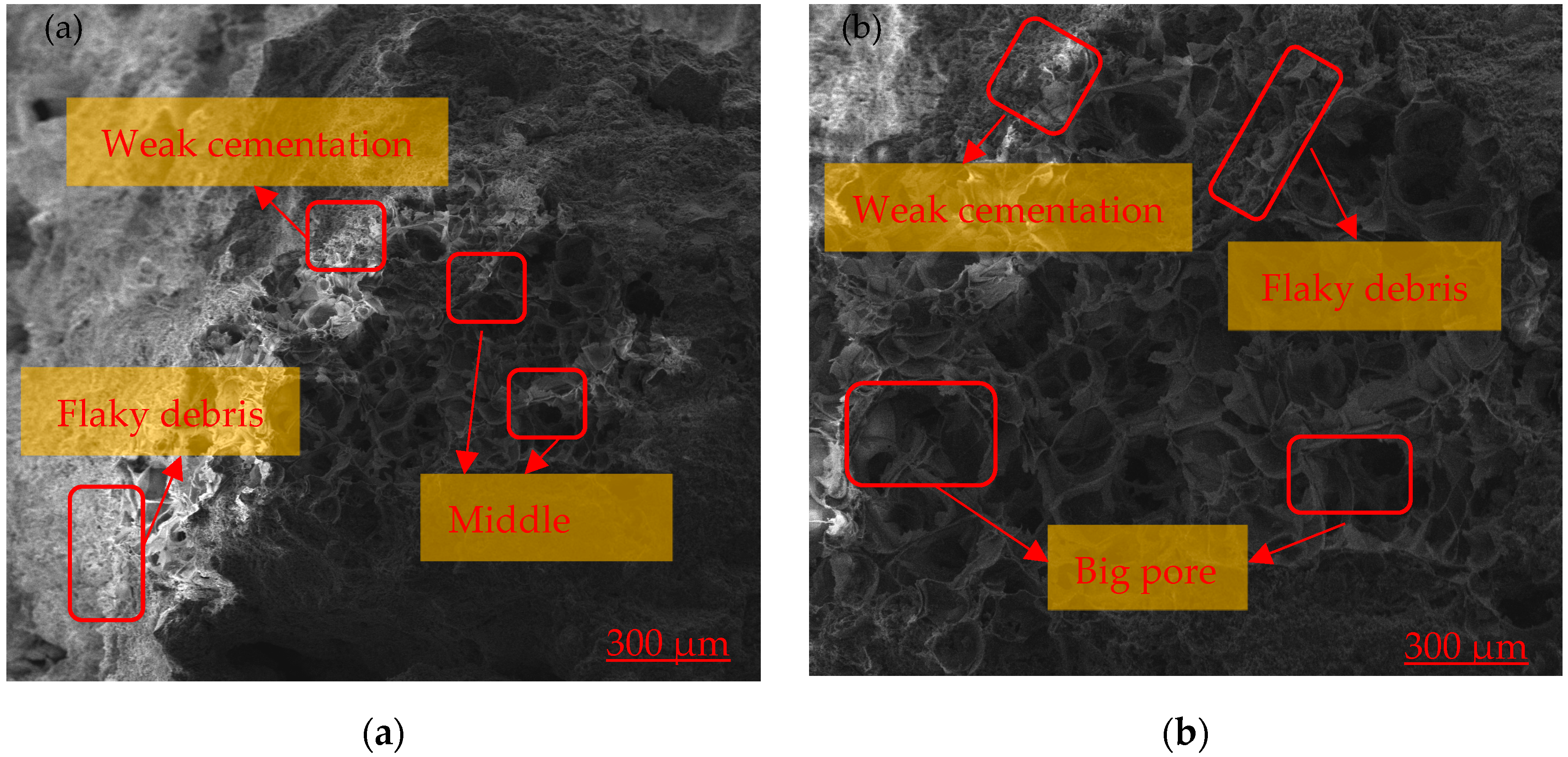 Processes 11 02652 g005