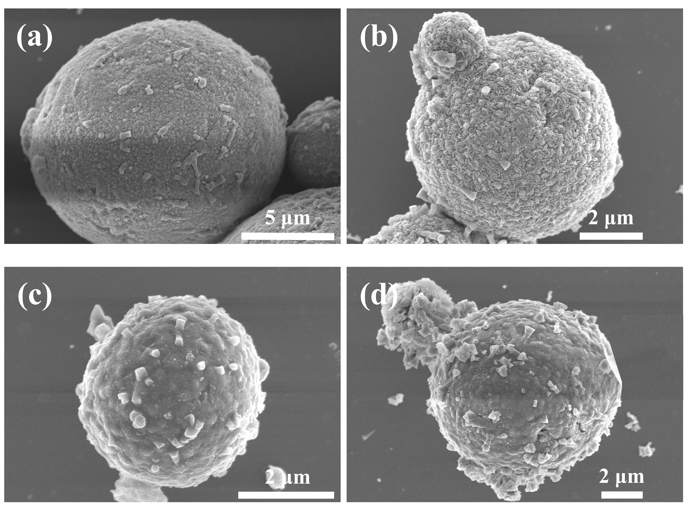 Processes 11 02659 g003