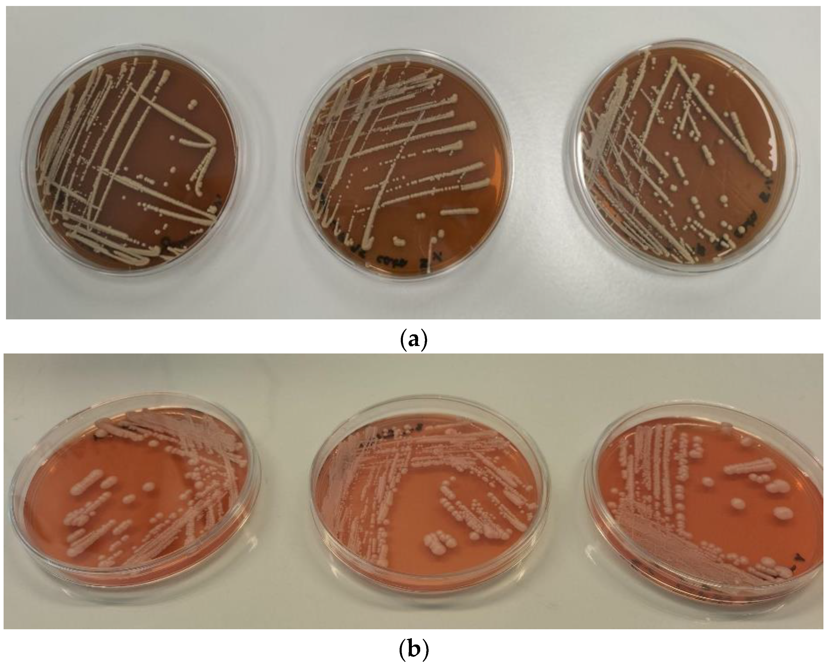 Processes 11 02671 g007 Processes 11 02671 g007
