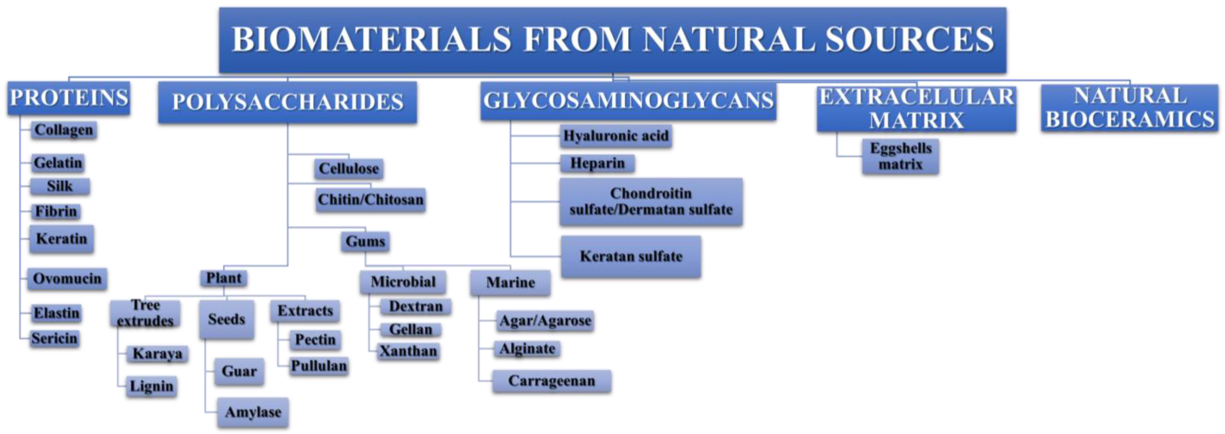 Processes 11 02696 g003