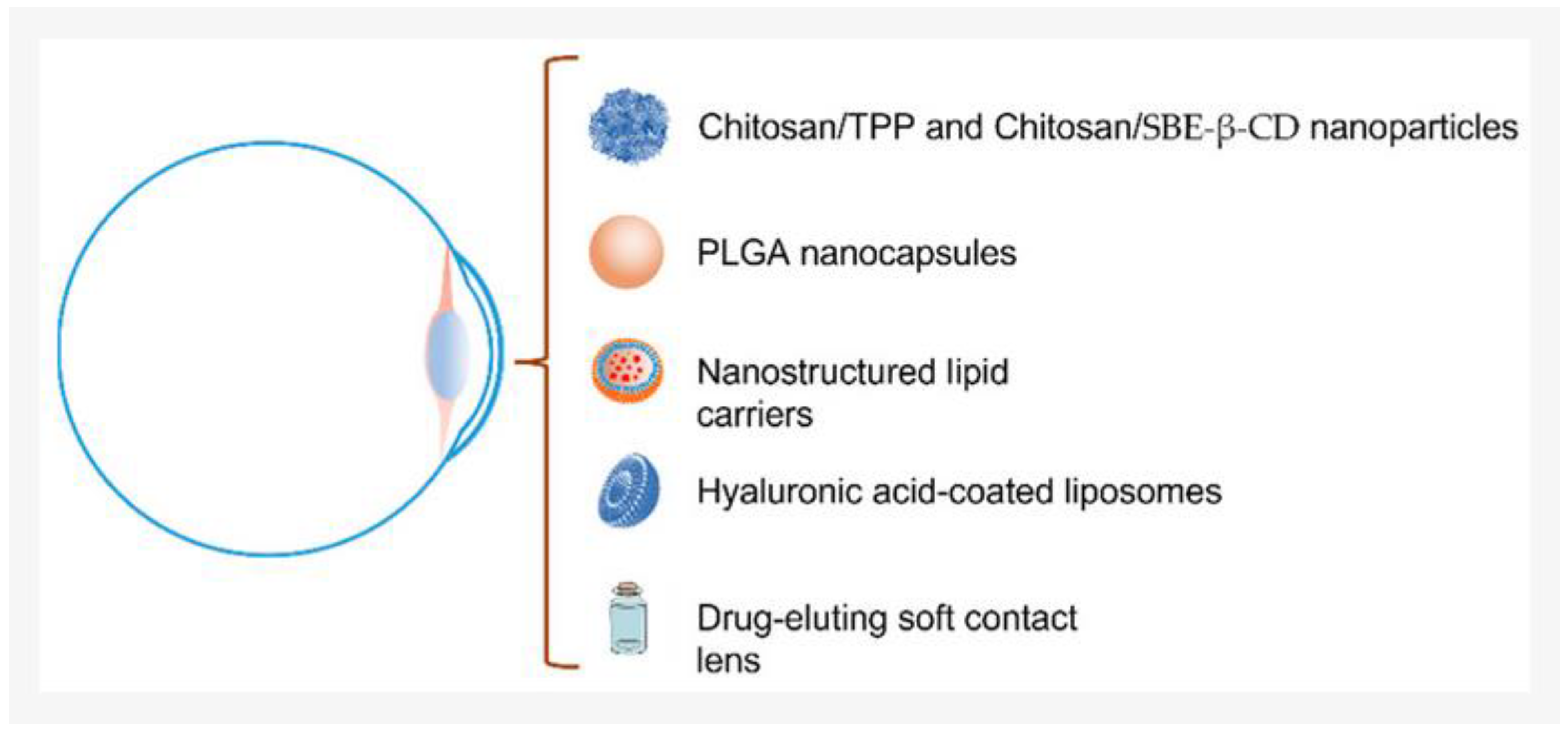 Processes 11 02696 g006