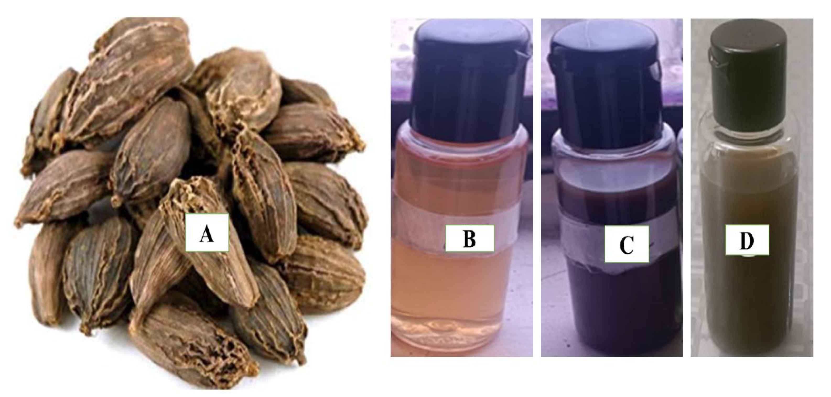 Processes 11 02698 g001