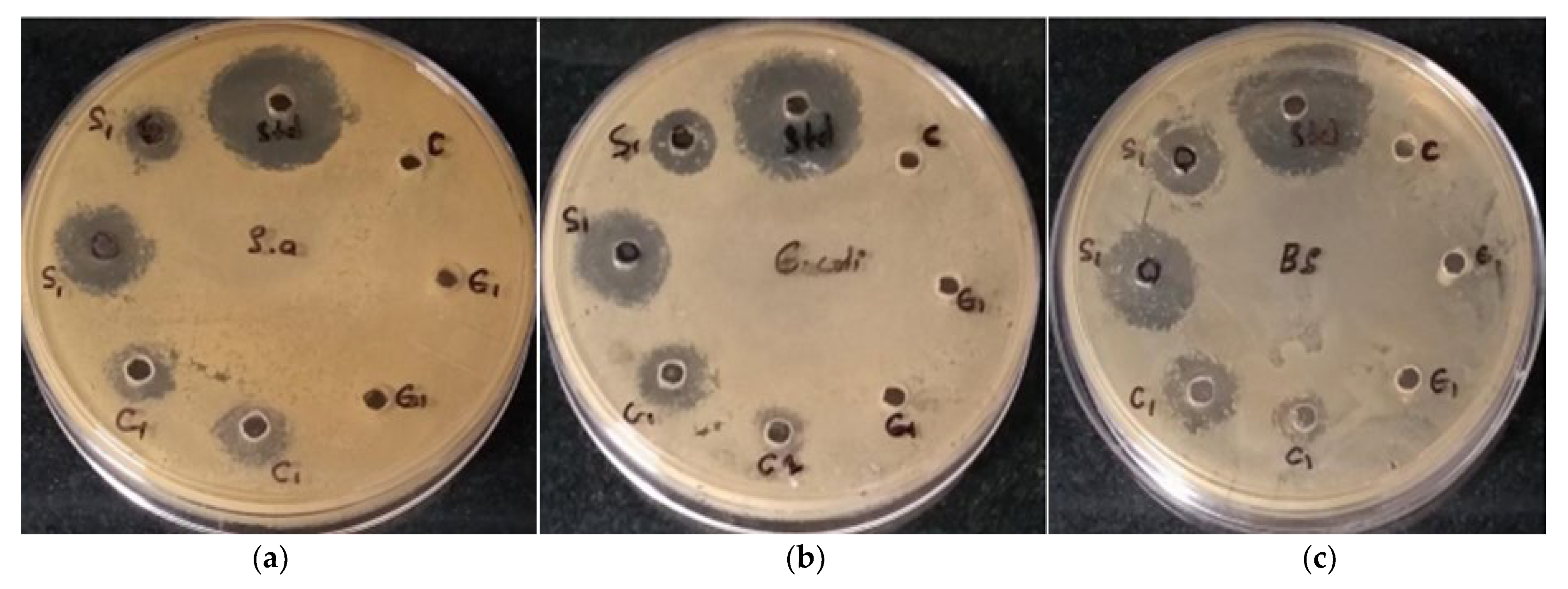 Processes 11 02698 g008