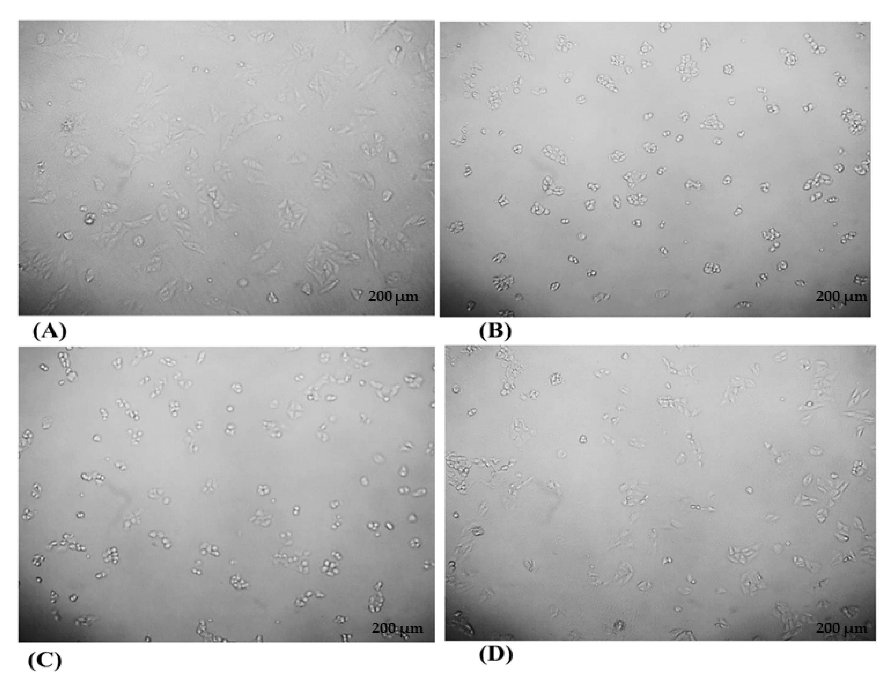 Processes 11 02698 g010