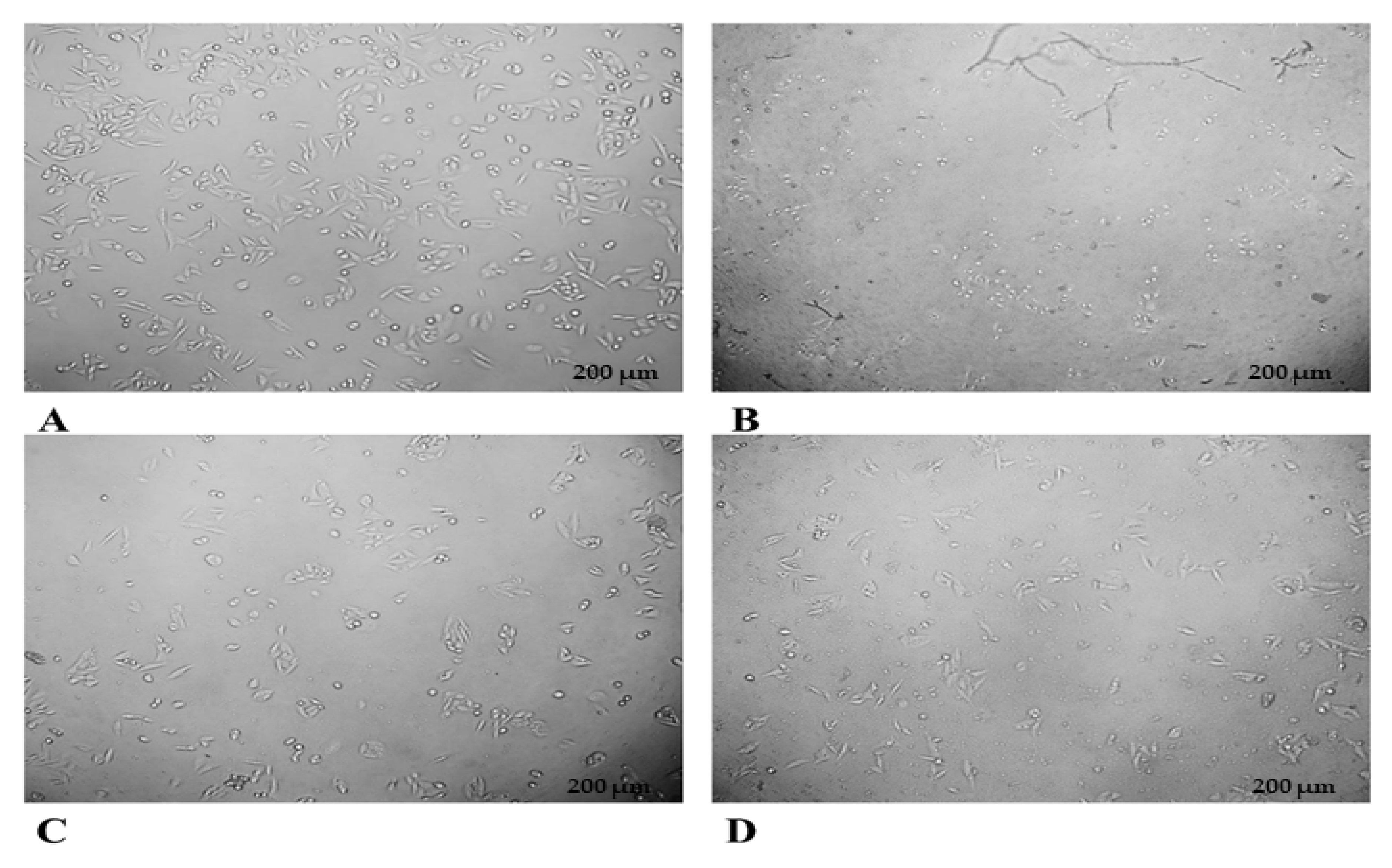Processes 11 02698 g011