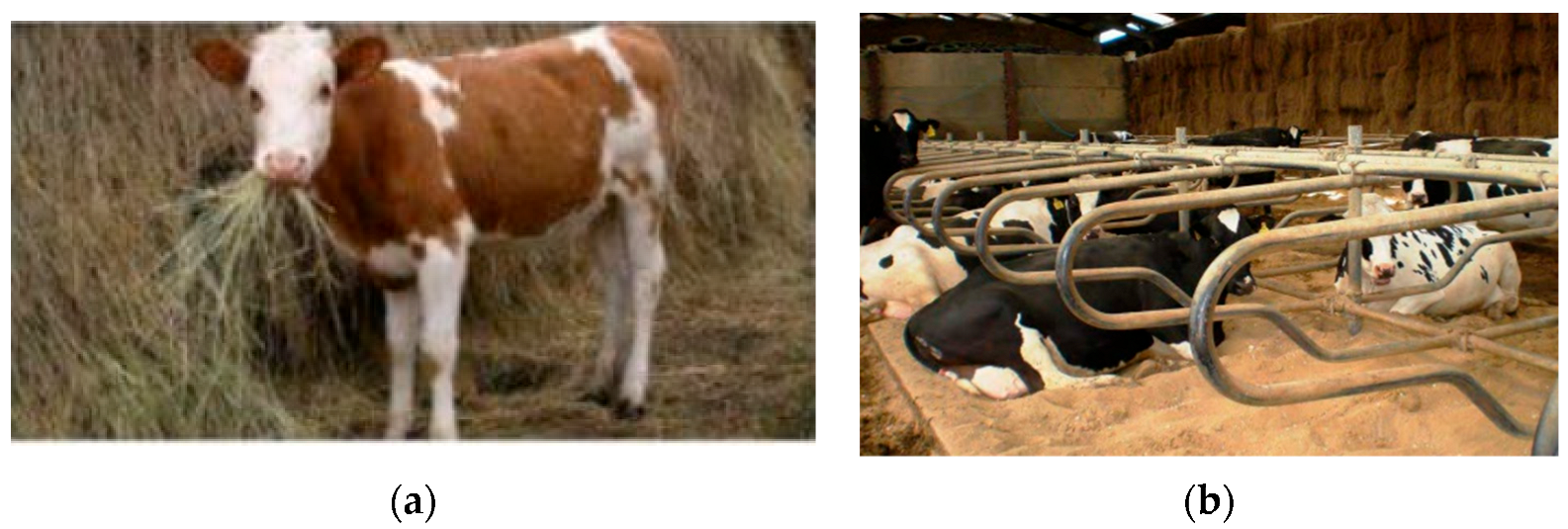 Processes 11 02741 g001 Processes 11 02741 g001