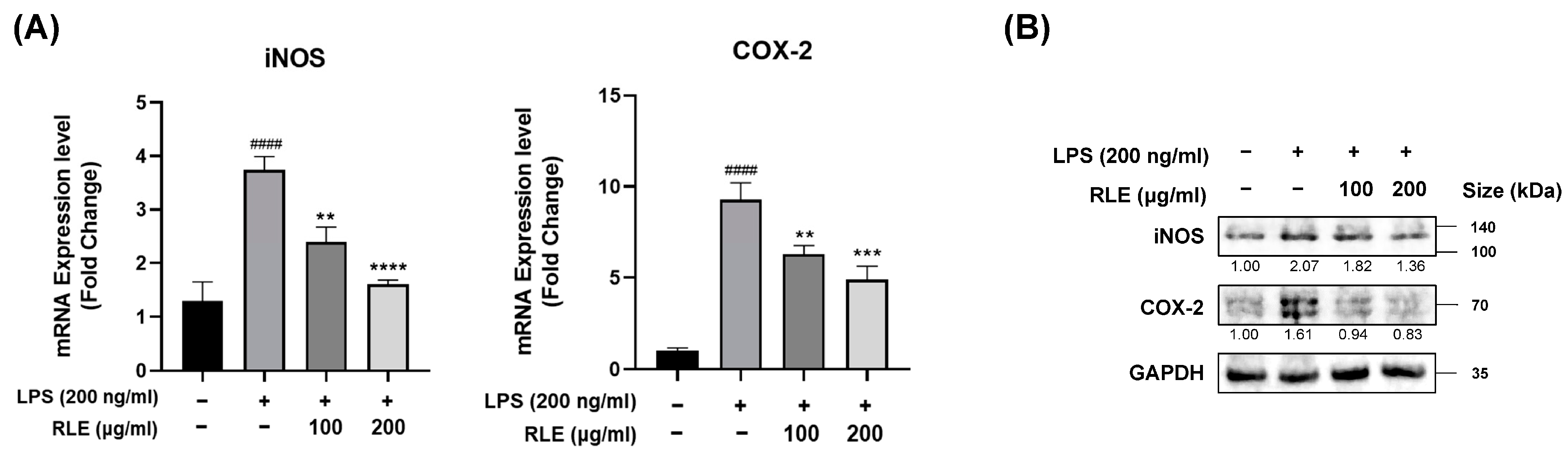 Processes 11 02756 g002