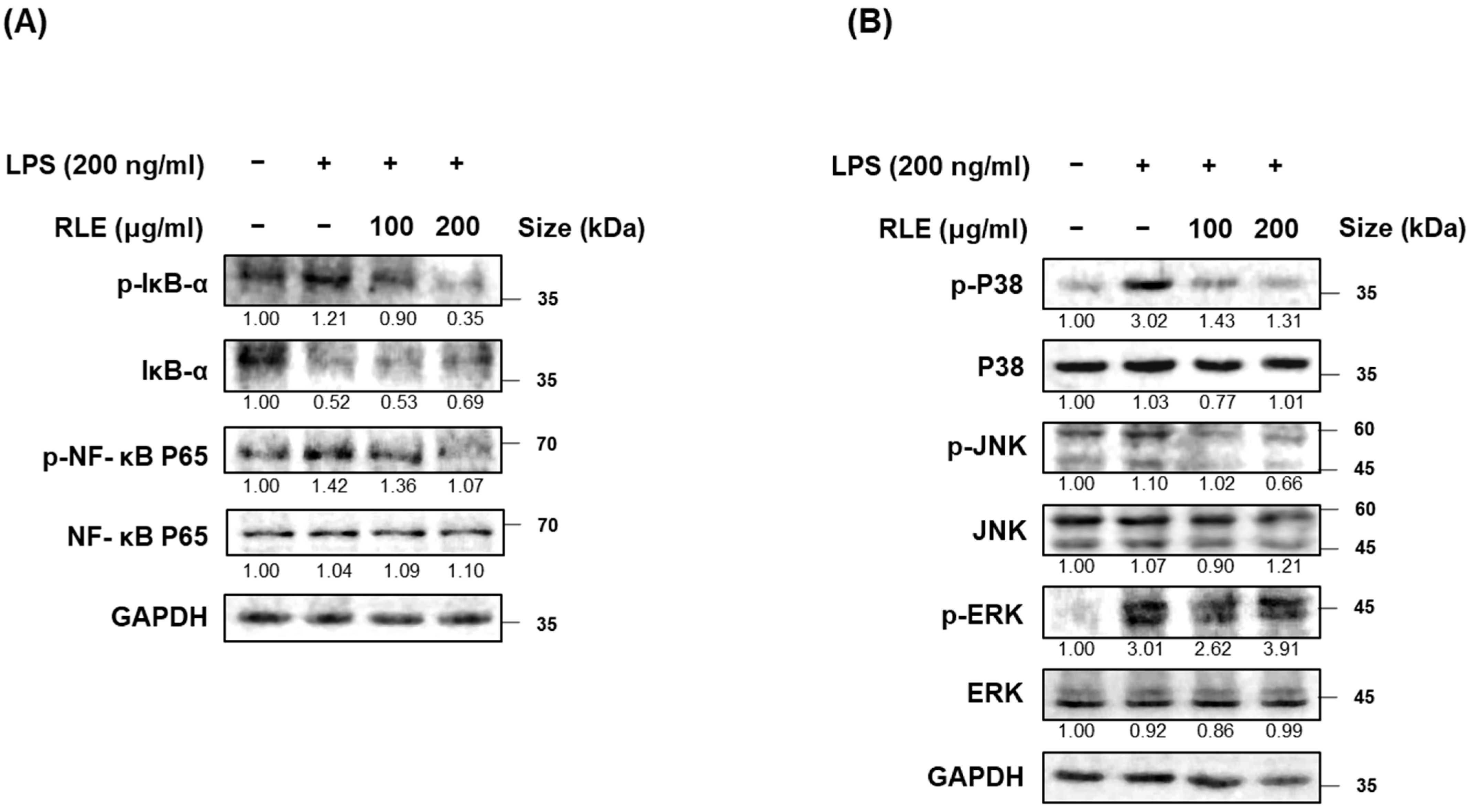 Processes 11 02756 g004