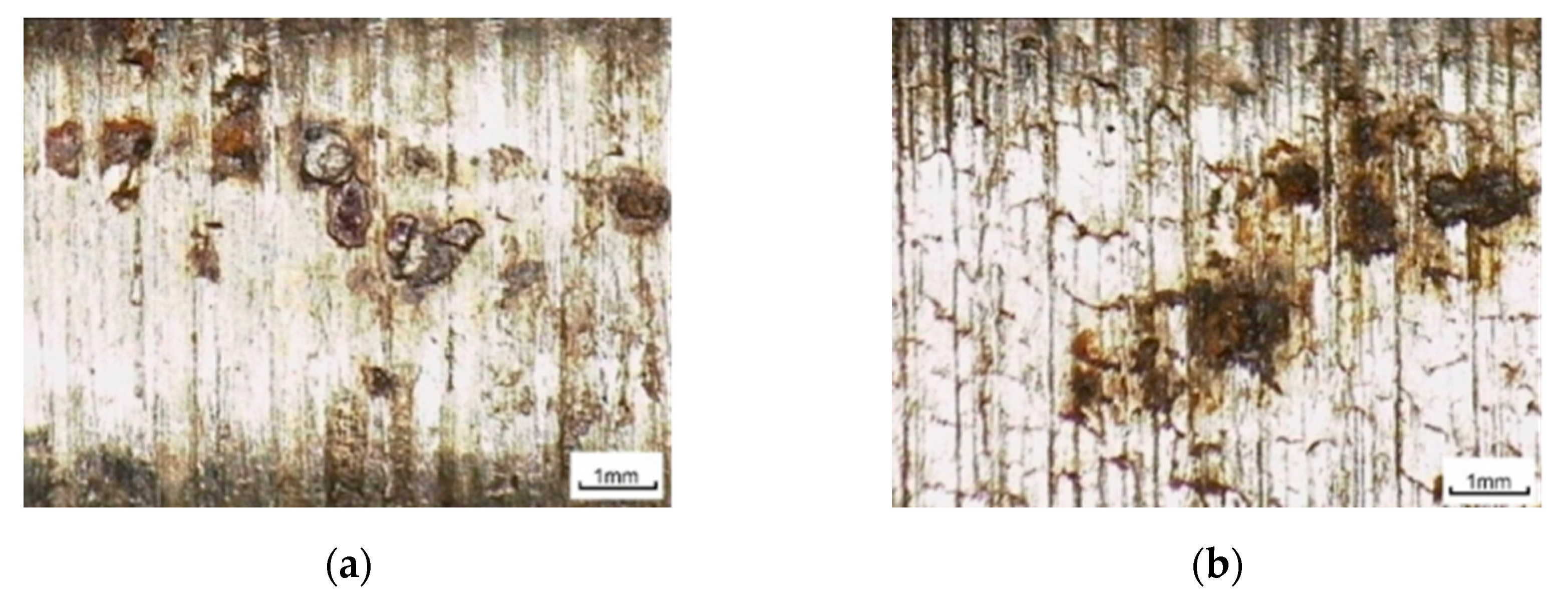 Processes 11 02762 g006