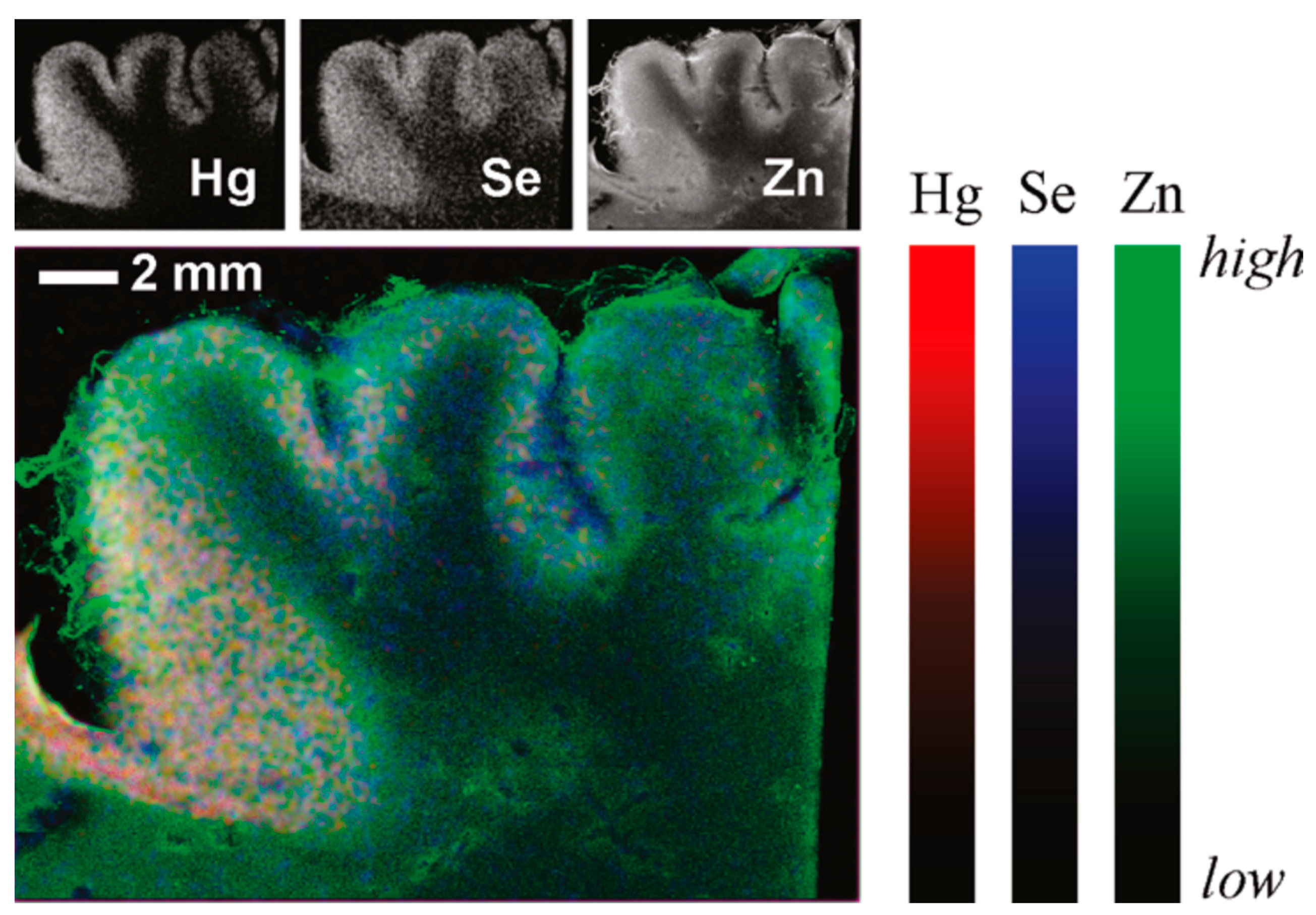 Processes 11 02821 g005