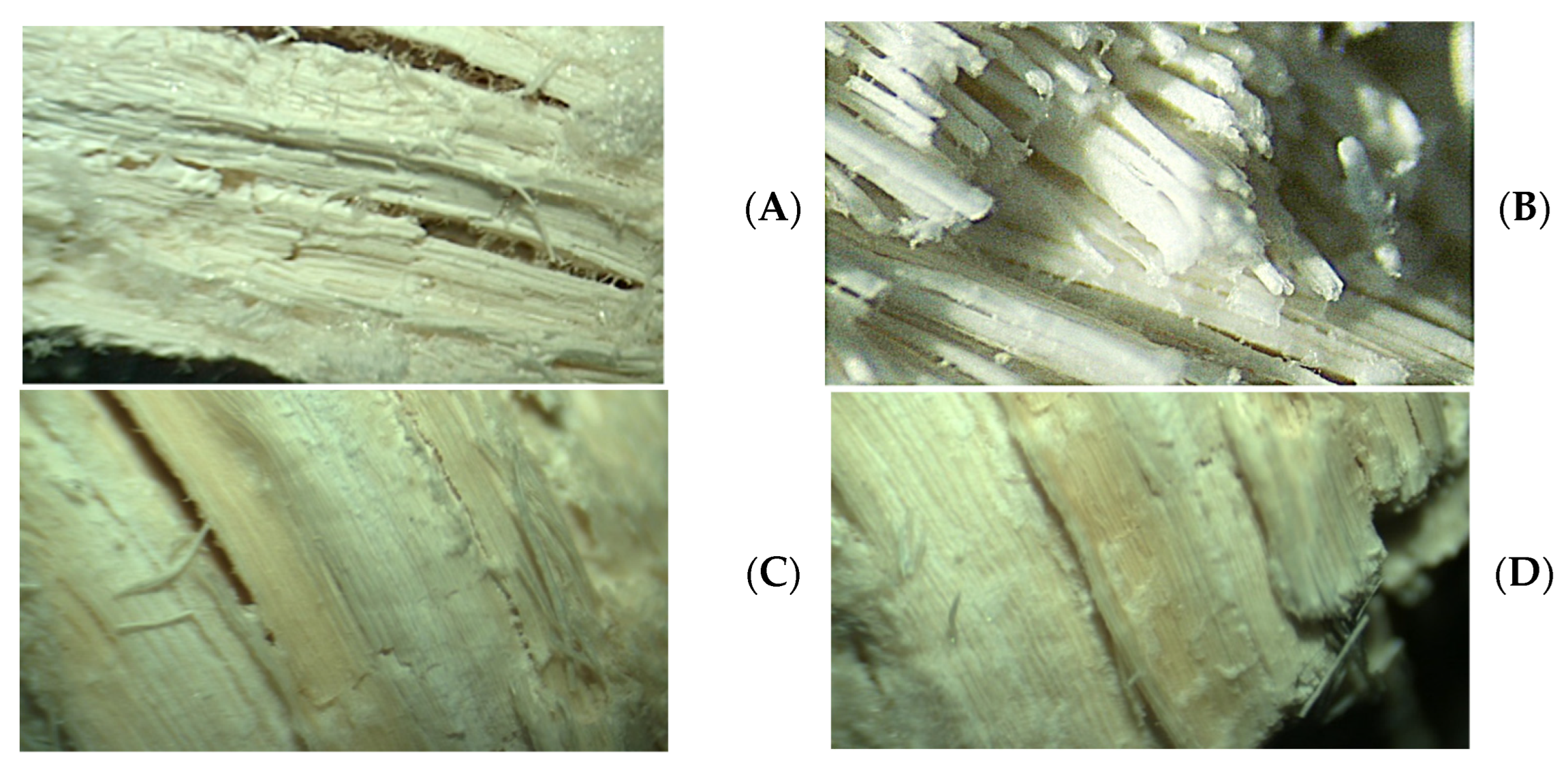 Processes 11 02822 g001