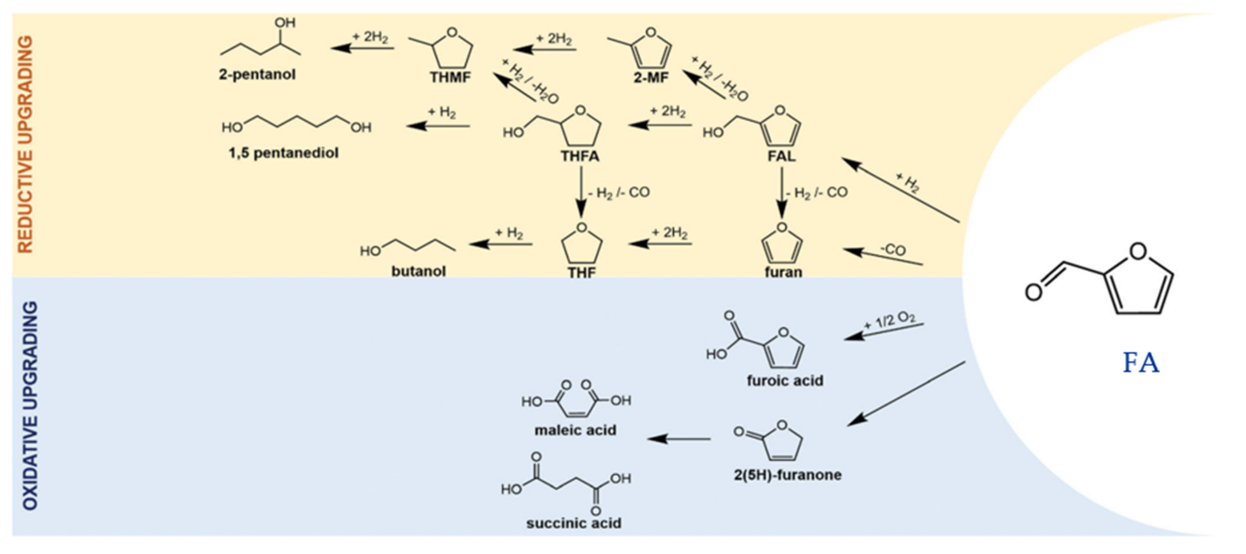 Processes 11 02912 g005