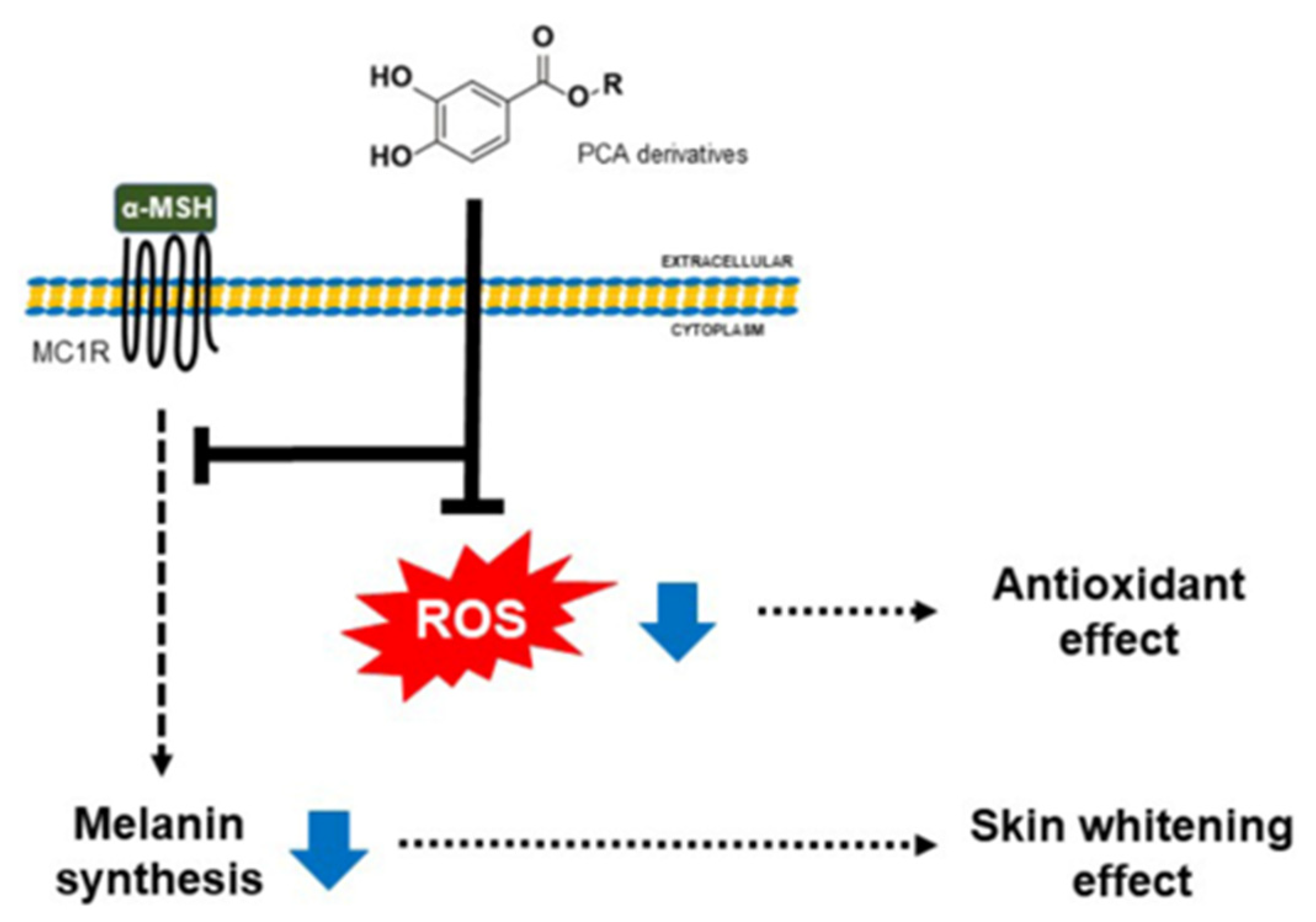 Processes 11 02912 g010