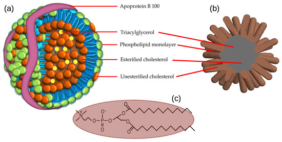 Processes 11 02913 g002
