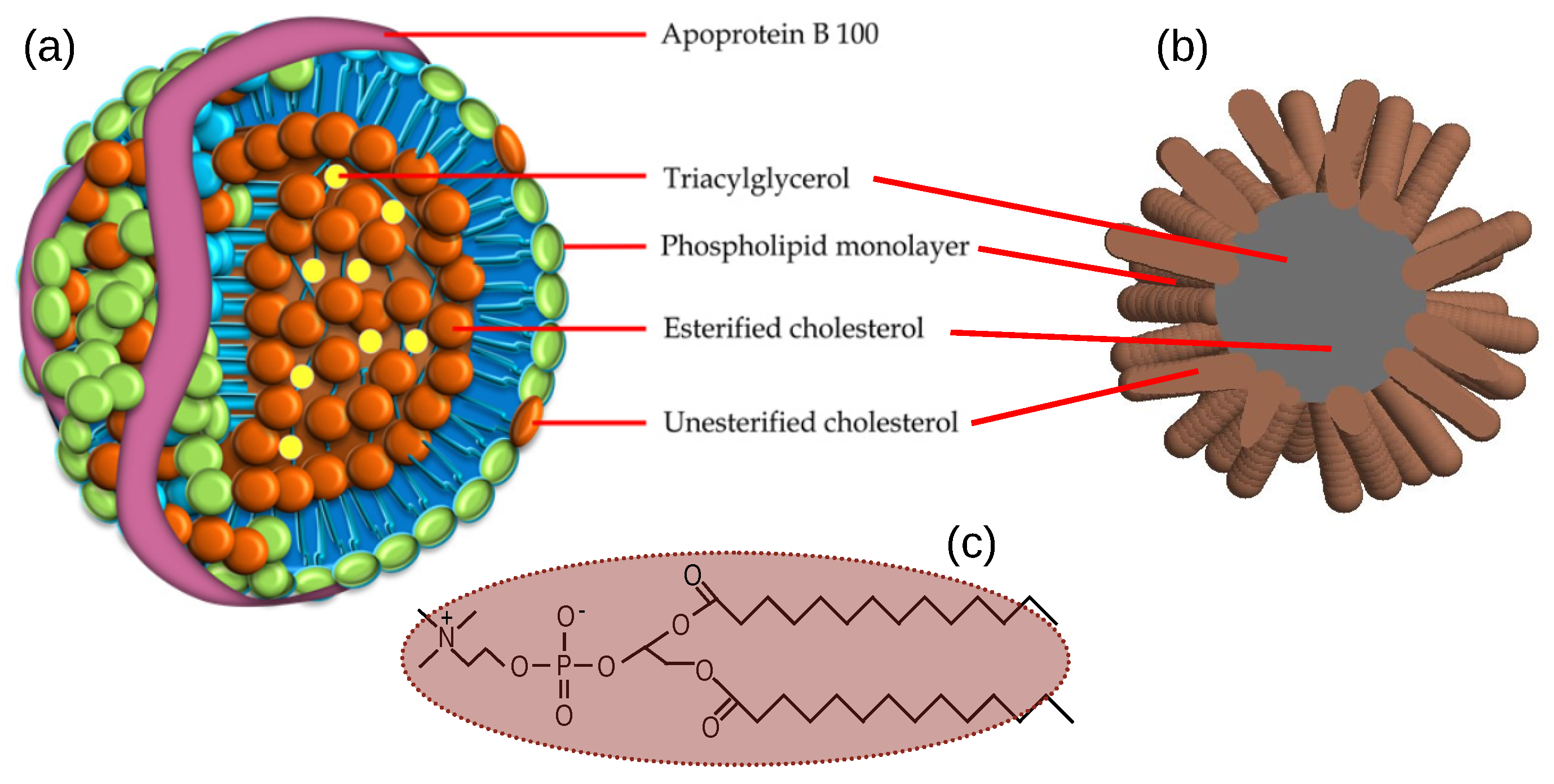 Processes 11 02913 g002 Processes 11 02913 g002