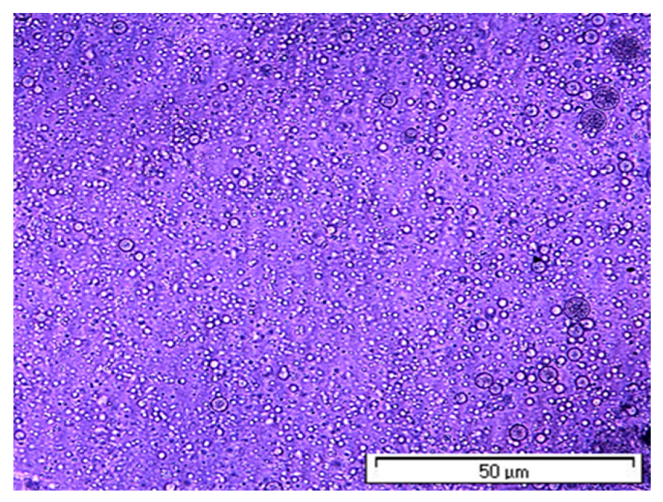 Processes 11 02957 g006