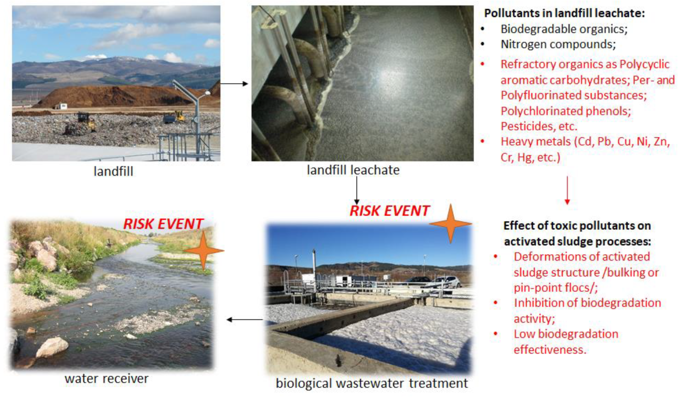 Processes 11 02960 g001