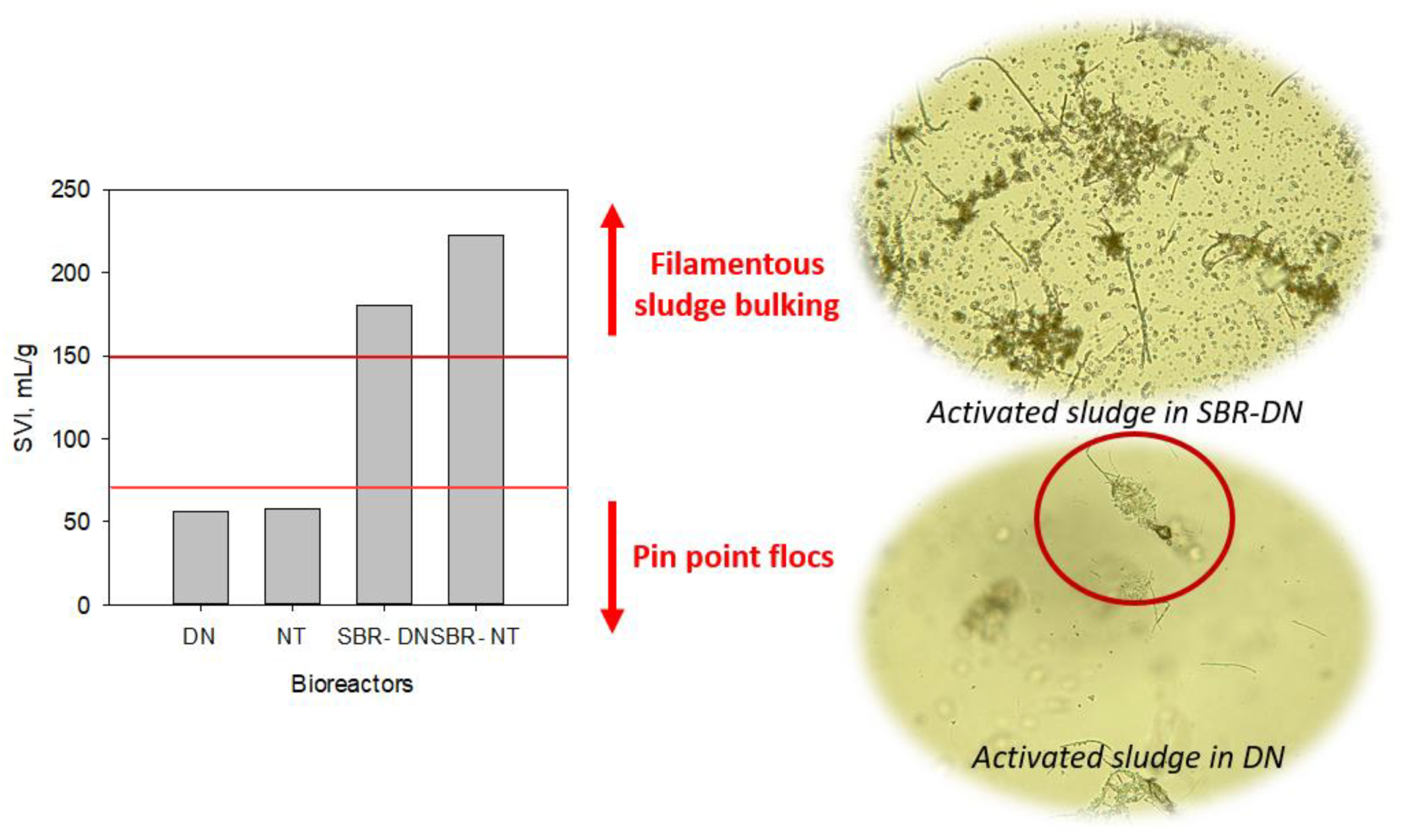 Processes 11 02960 g002