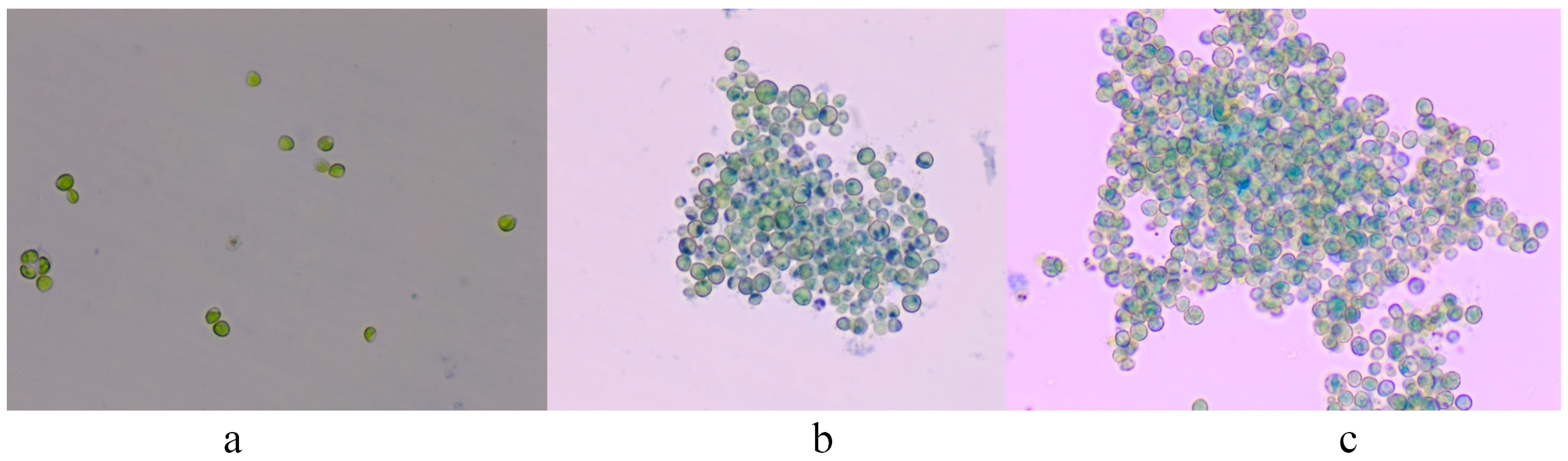 Processes 11 02978 g003