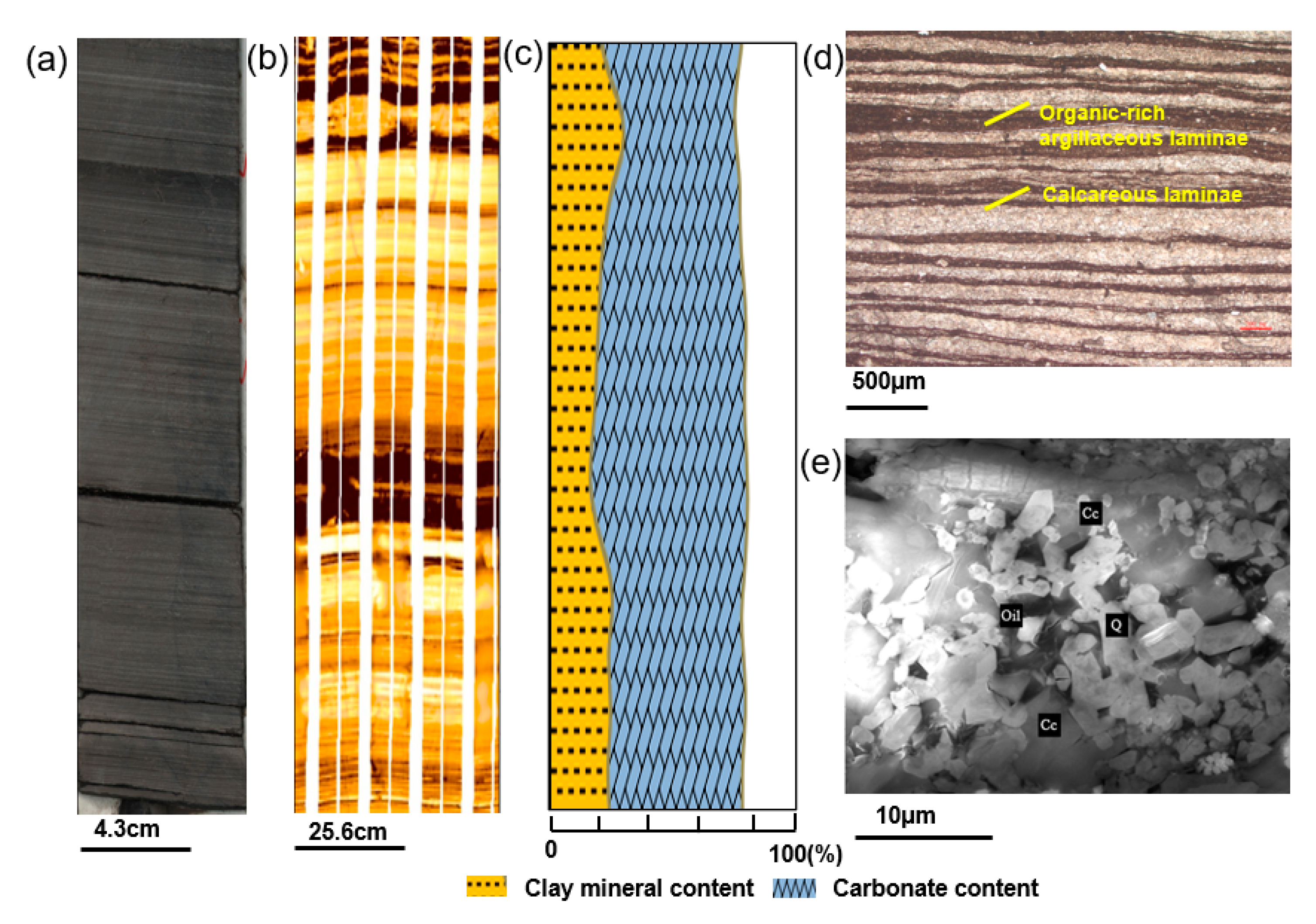 Processes 11 02982 g004