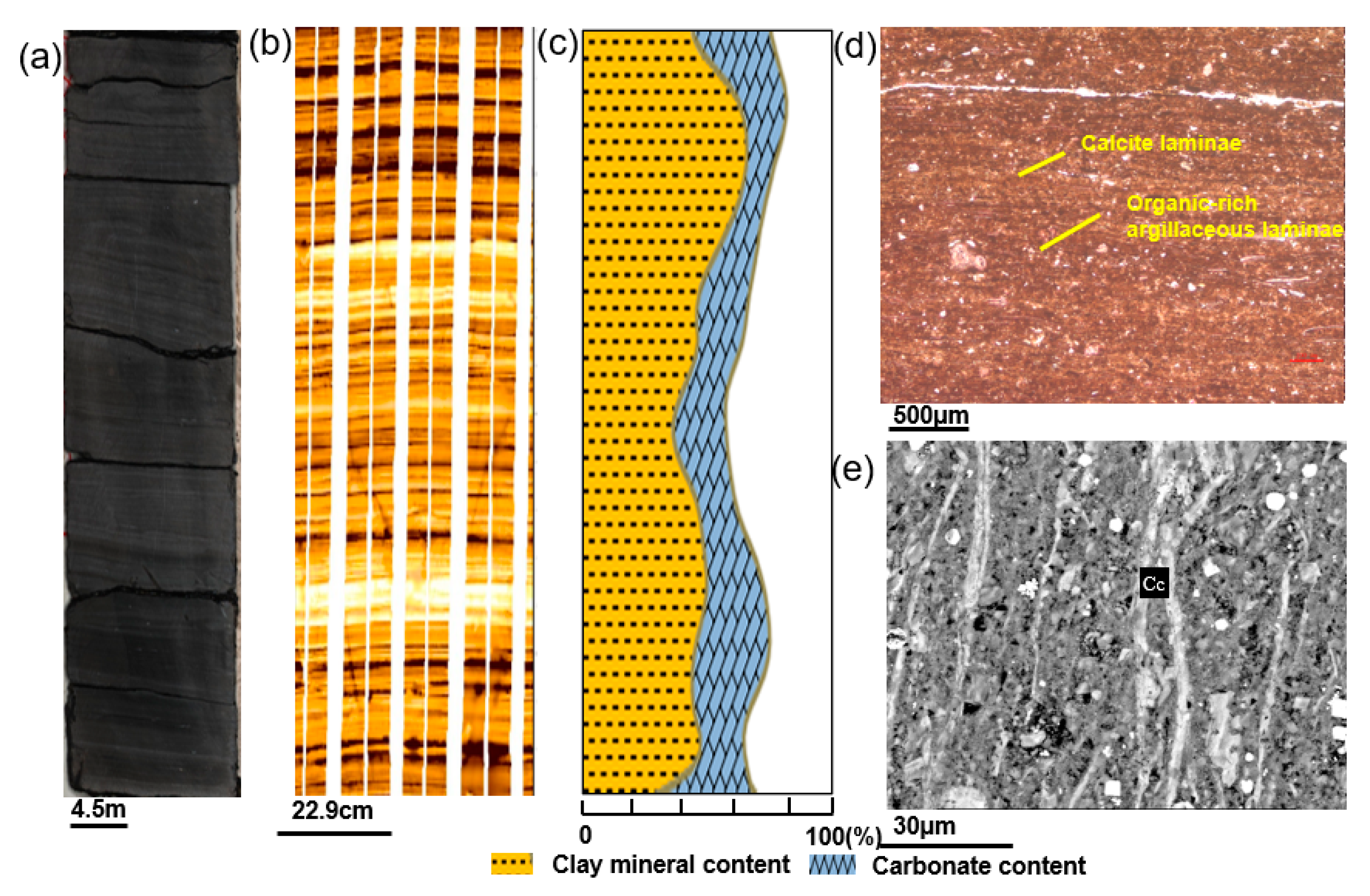 Processes 11 02982 g005