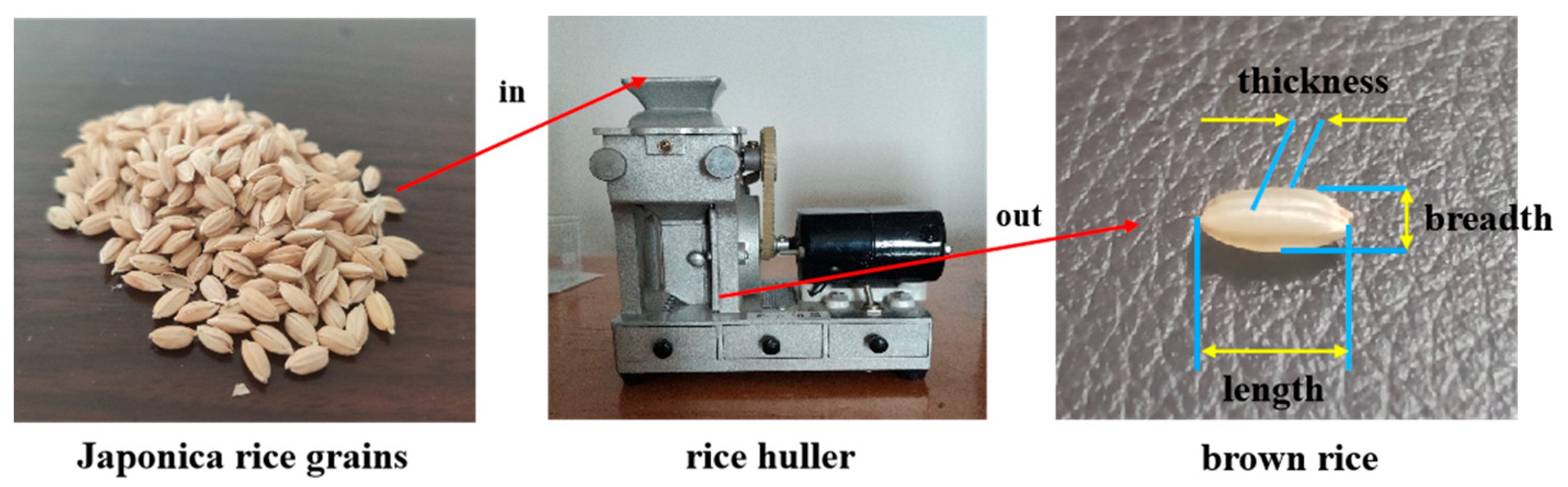 Processes 11 02992 g001
