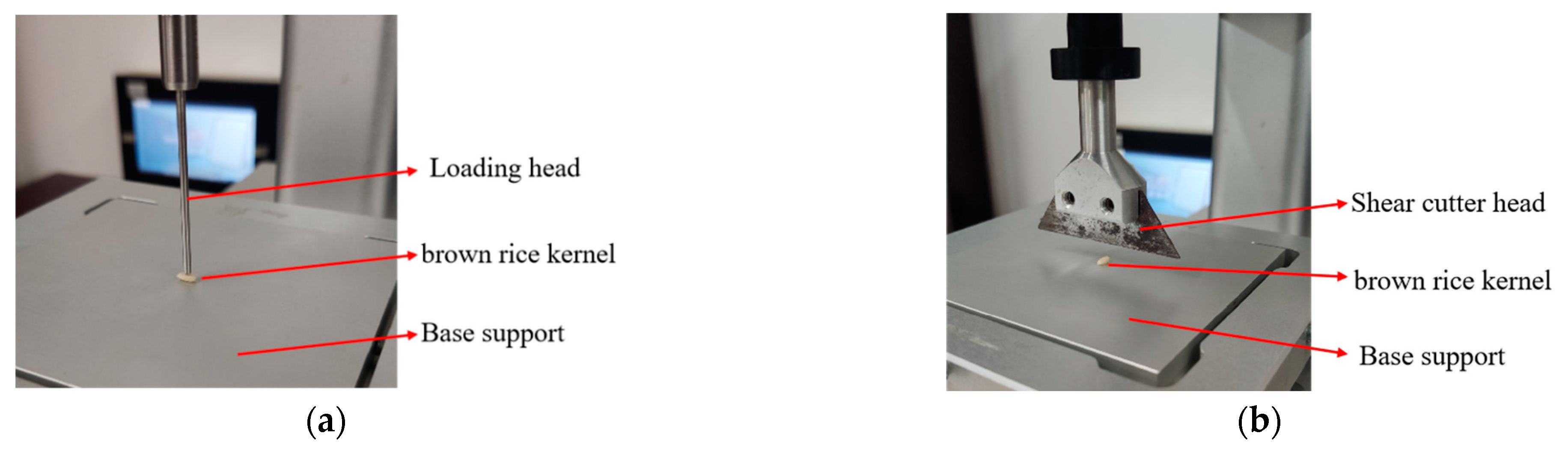 Processes 11 02992 g003