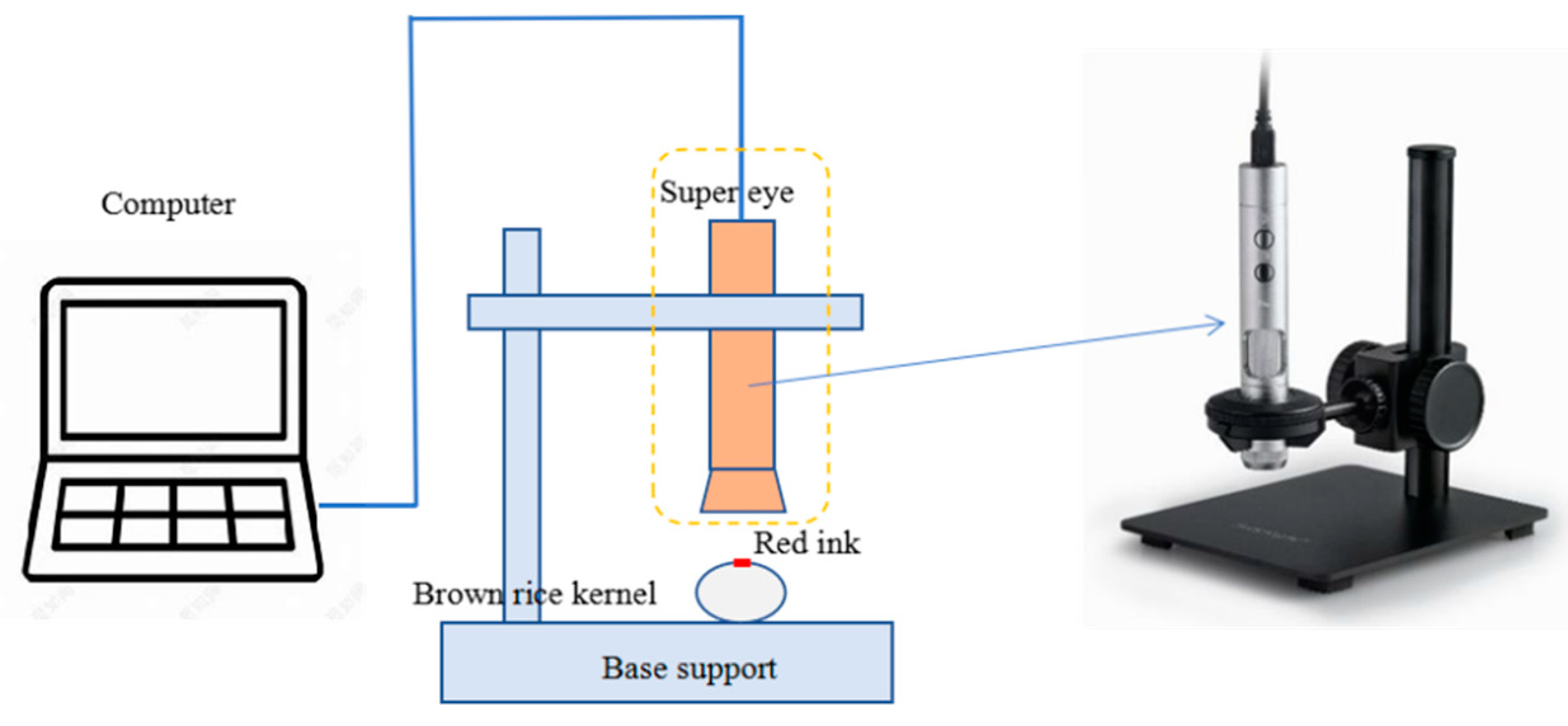 Processes 11 02992 g005