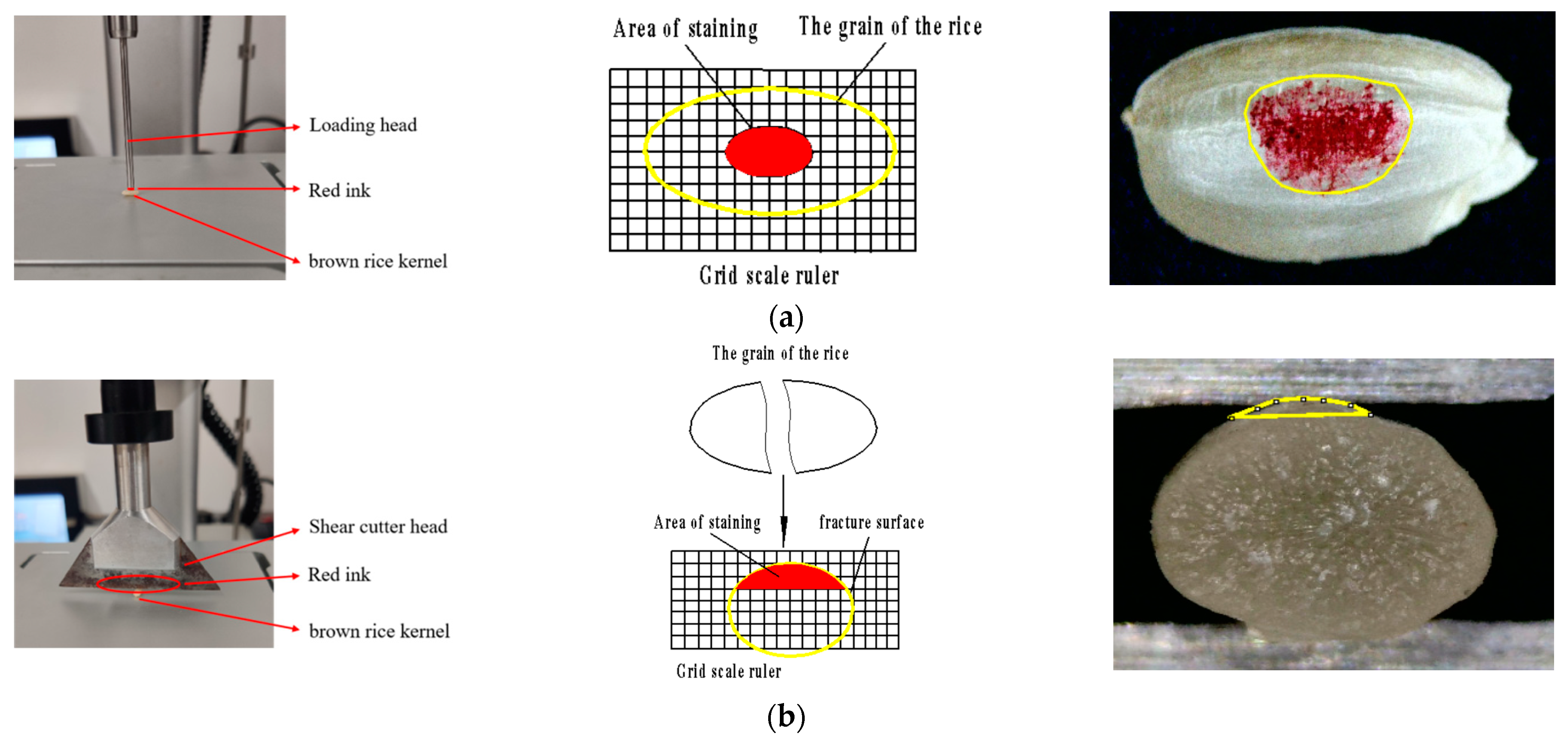 Processes 11 02992 g006