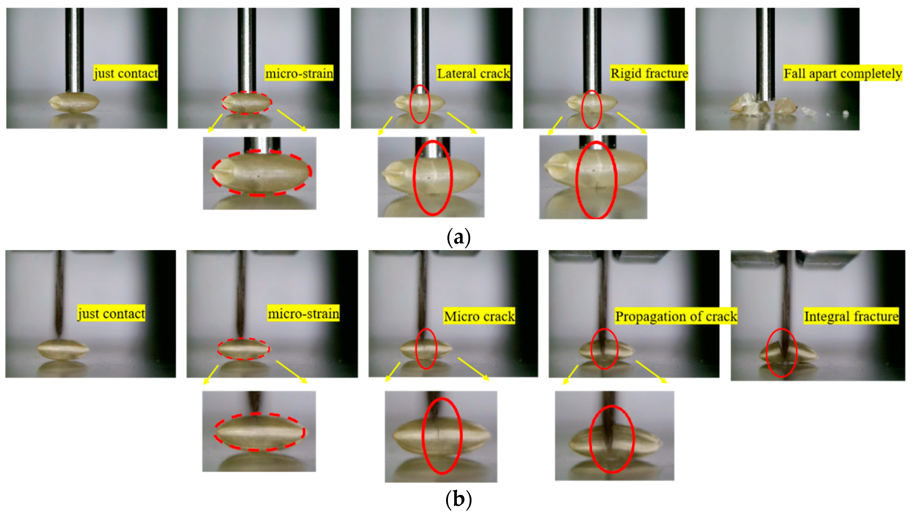 Processes 11 02992 g015