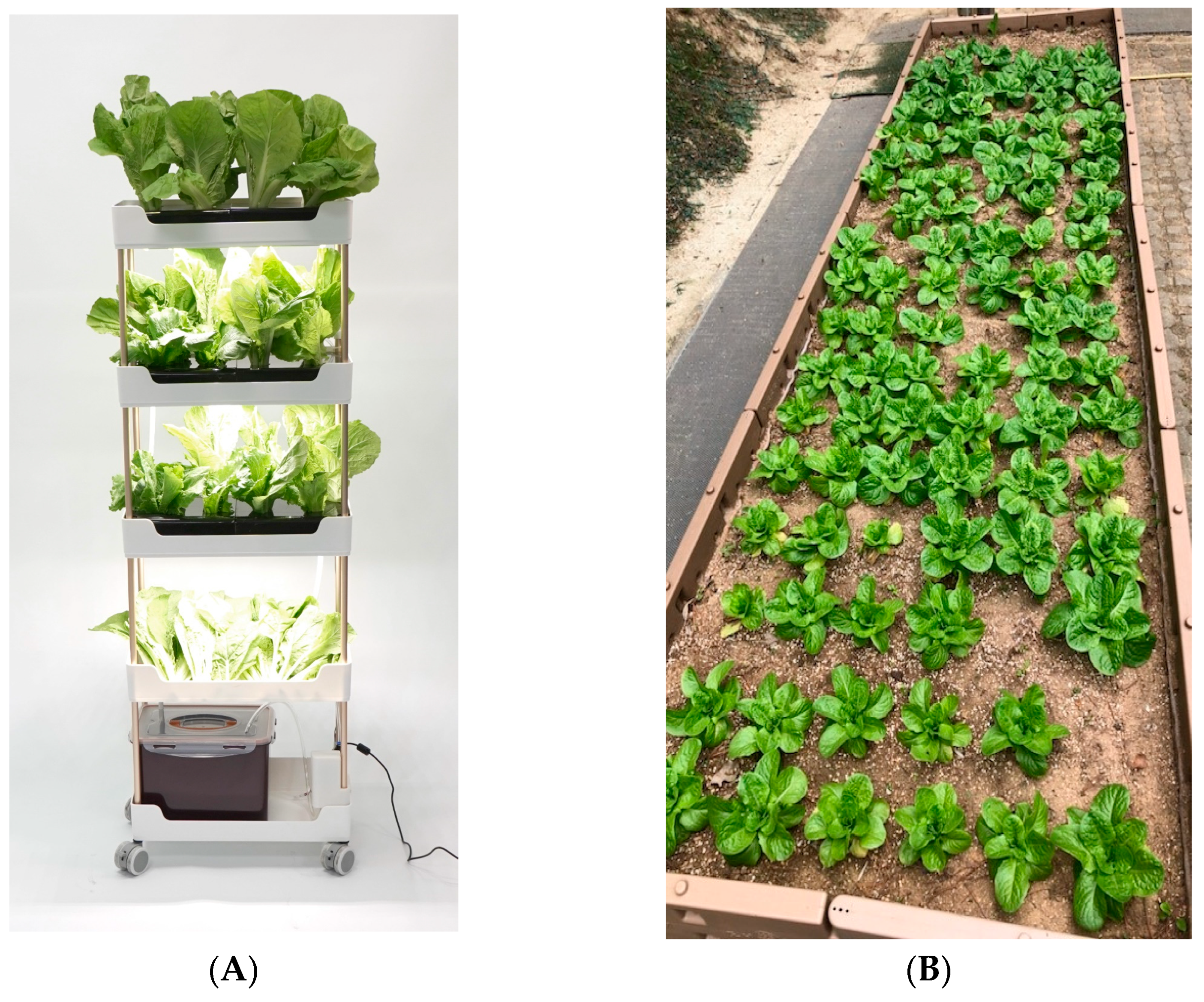 Processes 11 02993 g001