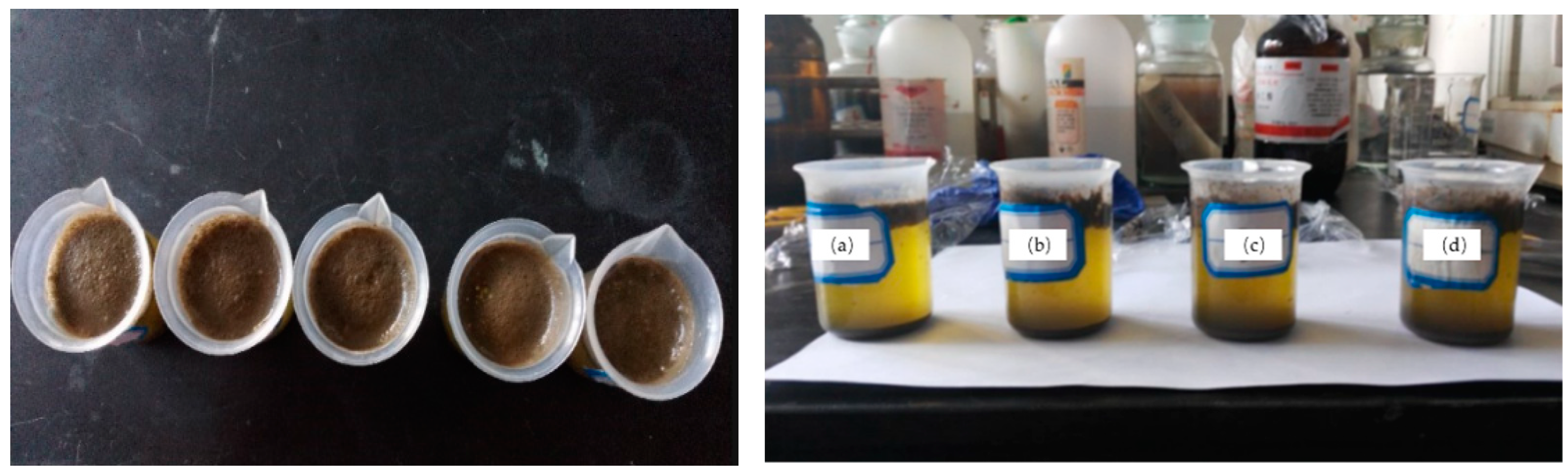 Processes 11 03004 g004