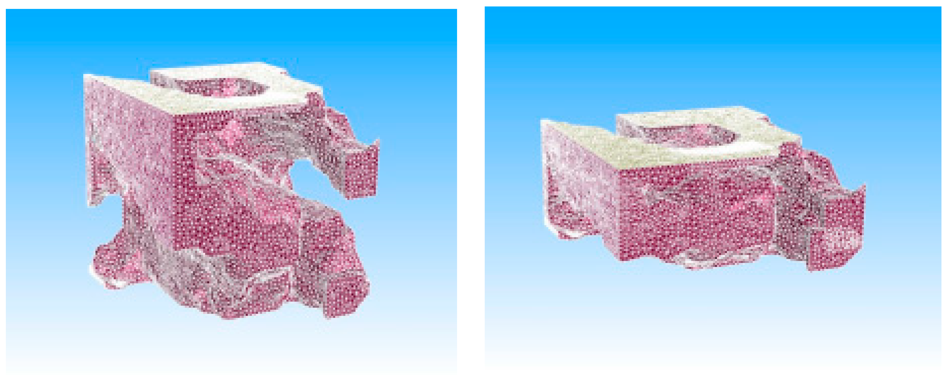 Processes 11 03015 g009 Processes 11 03015 g009