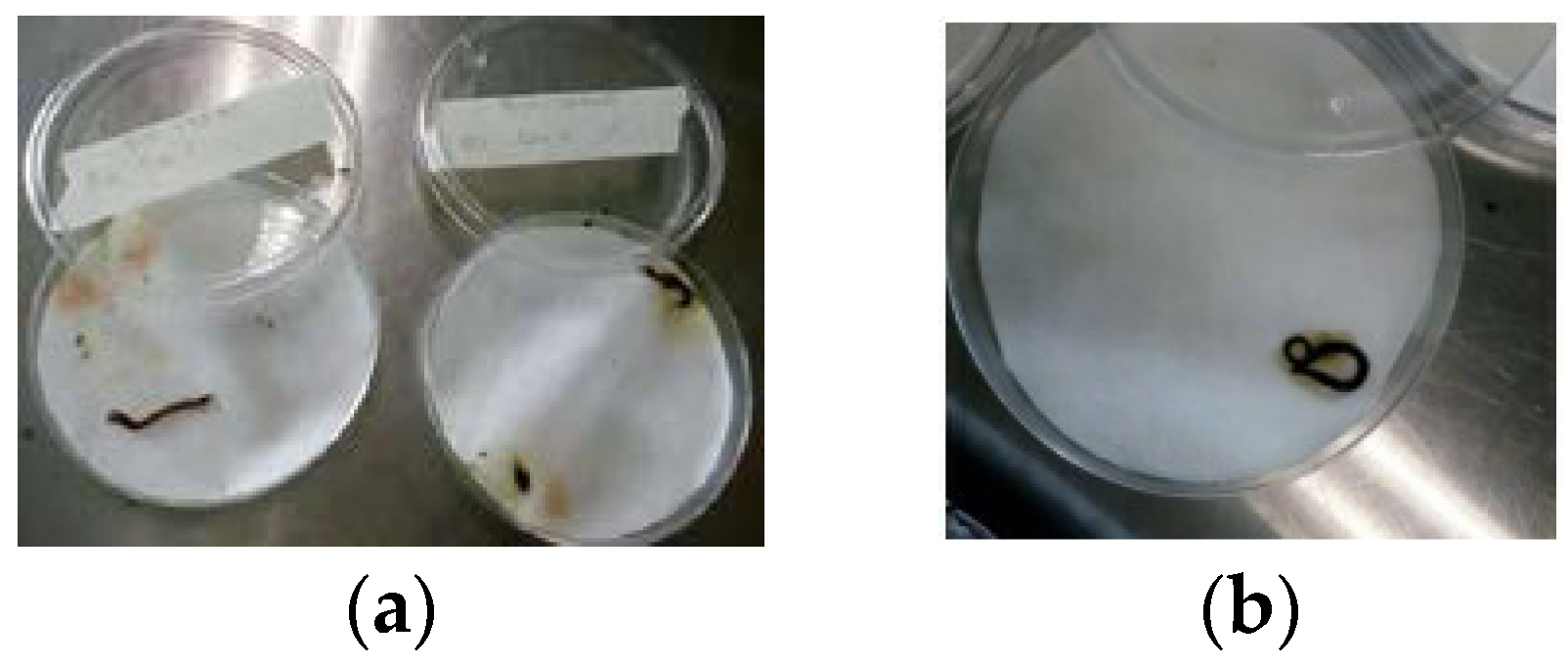 Processes 11 03020 g001