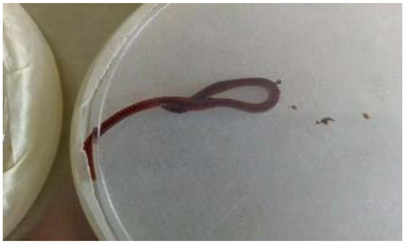 Processes 11 03020 g002