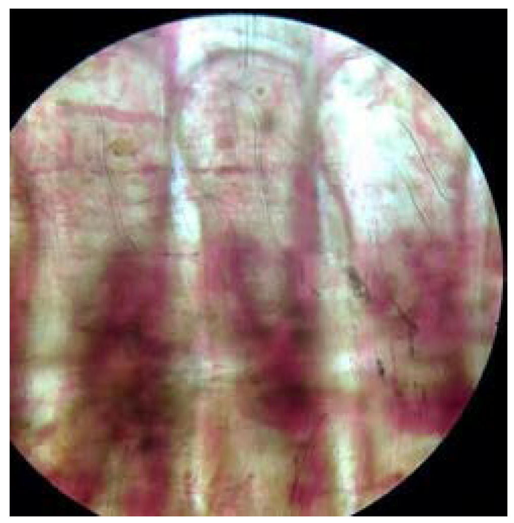 Processes 11 03020 g003