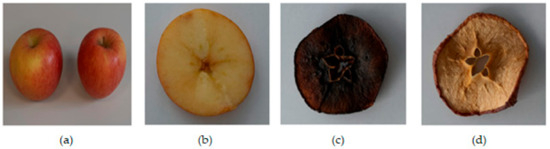 Processes 11 03027 g001